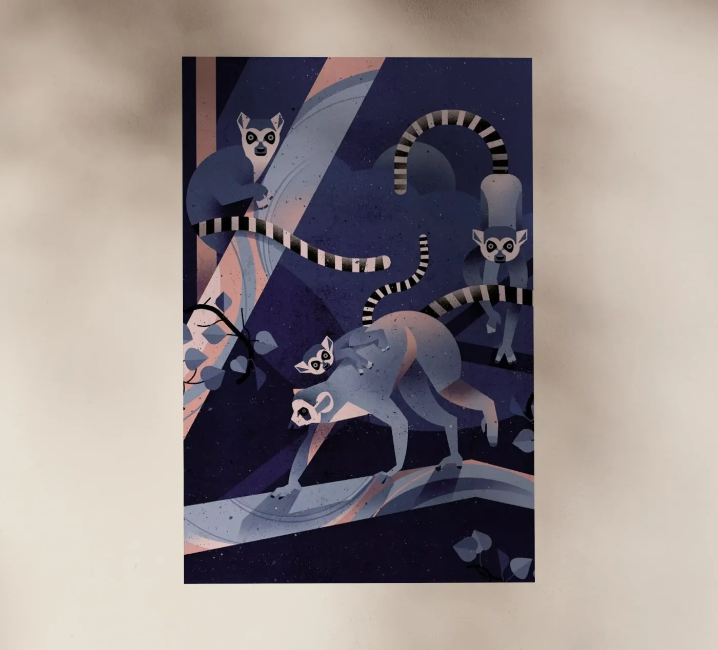 Katta pellicola backlit da Dieter Braun