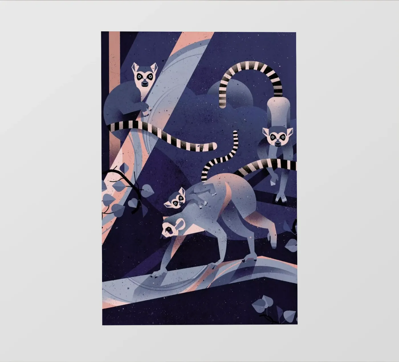 Katta pellicola backlit da Dieter Braun