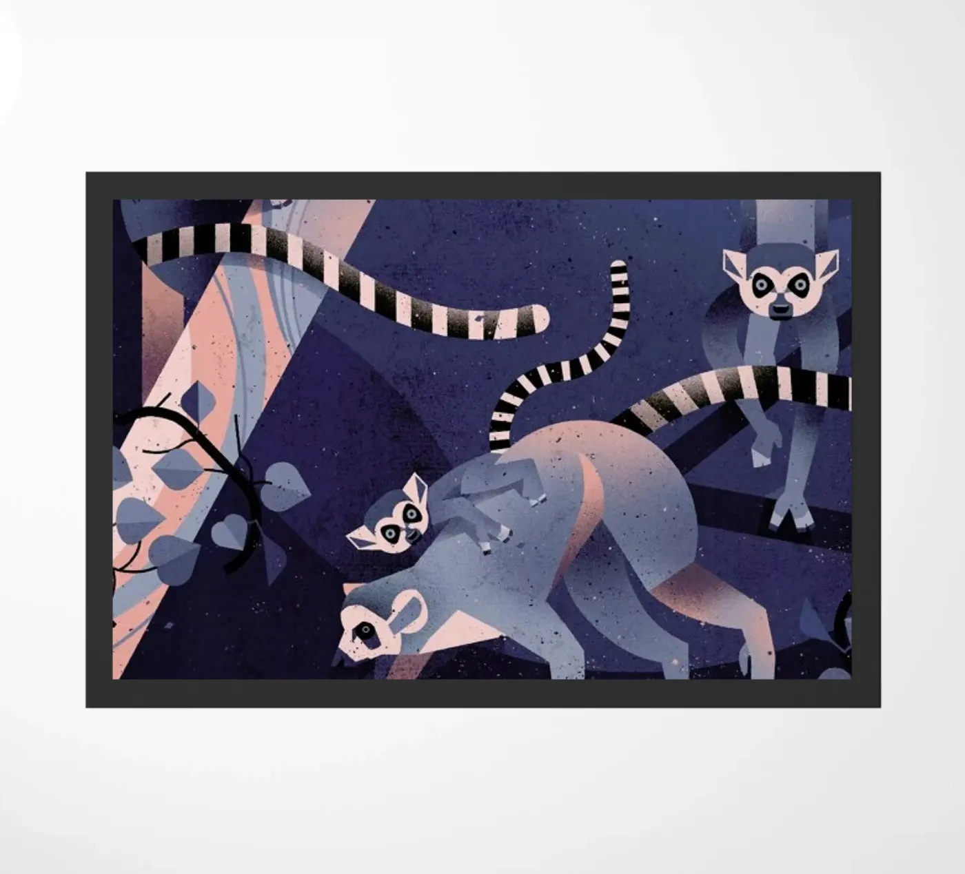 Katta zerbino da Dieter Braun