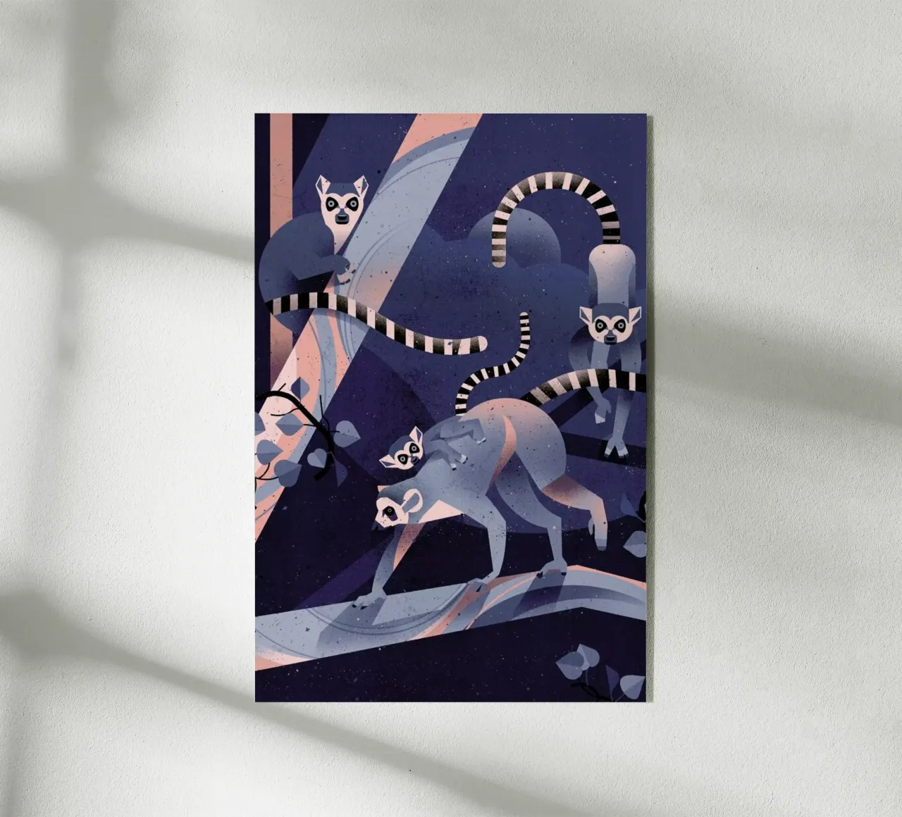 Katta plexiglass da Dieter Braun