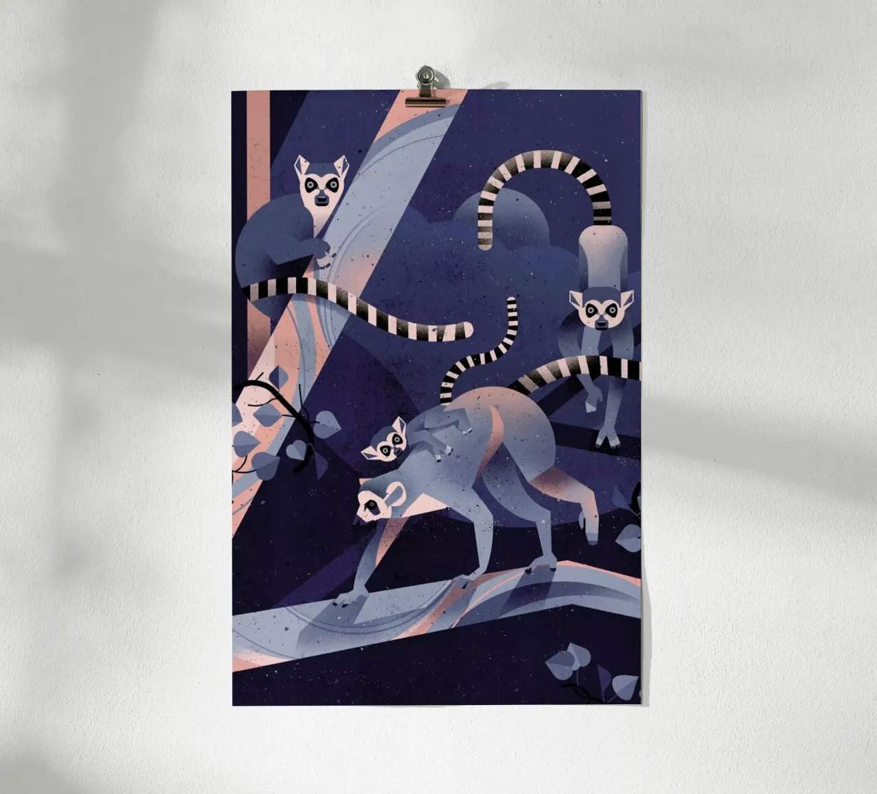 Katta poster by Dieter Braun