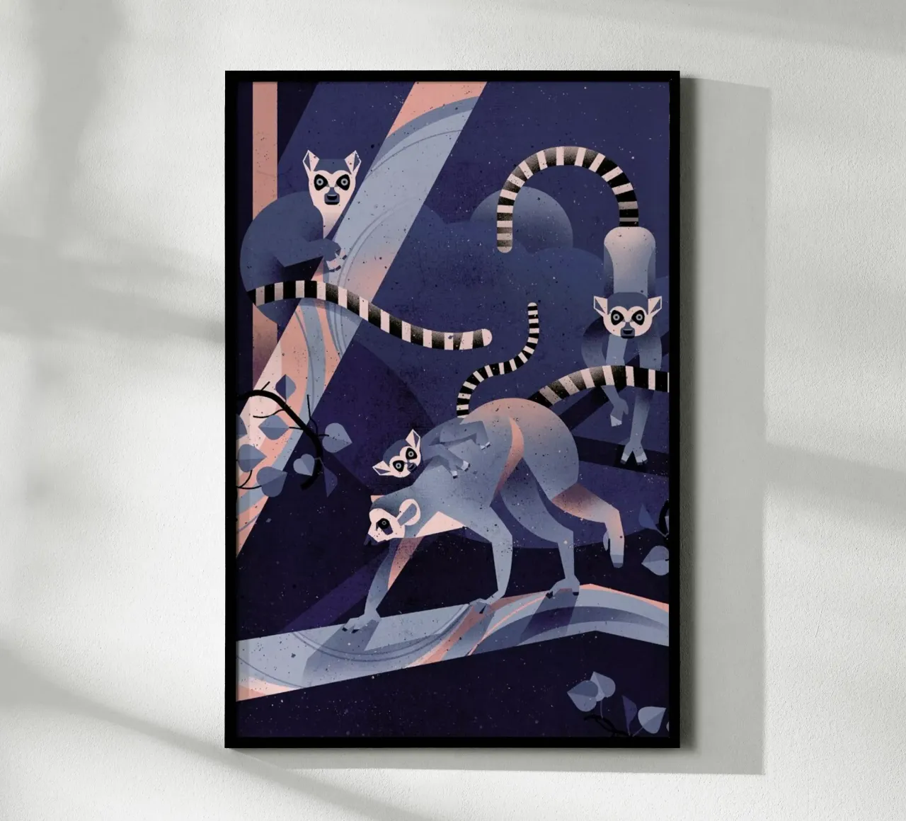 Katta poster by Dieter Braun