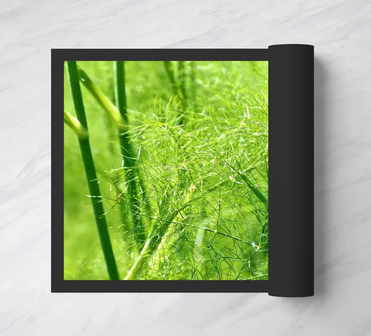 Summergreen zerbino da Edenart