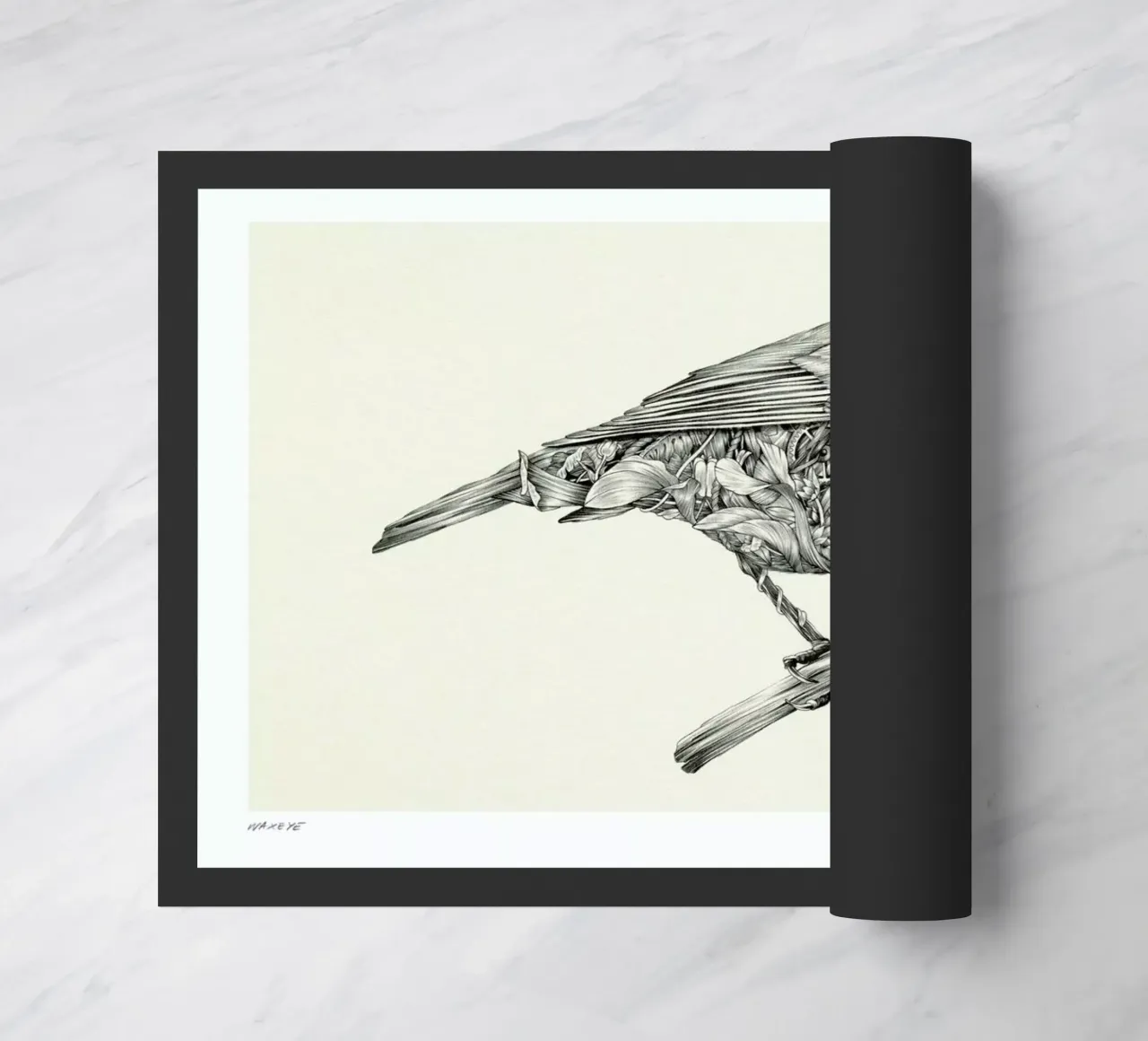 Waxeye zerbino da Faunesque