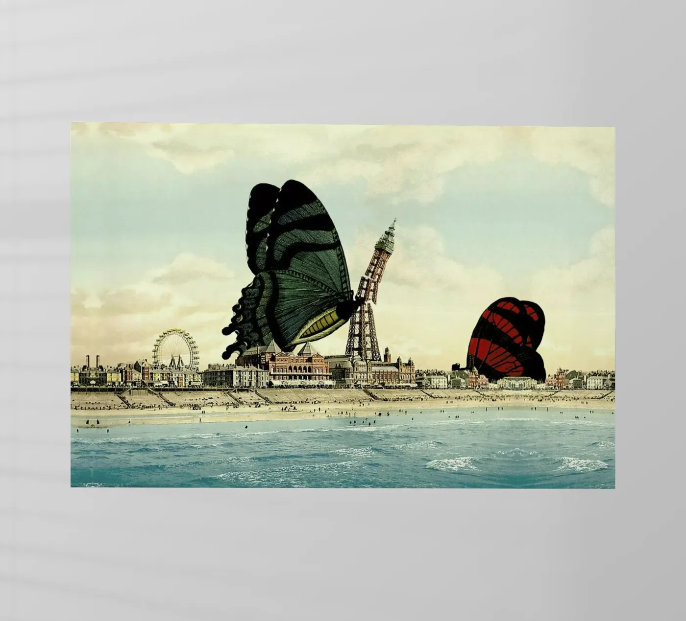 Blackpool pellicola backlit da The Gently Unfurling Sneak