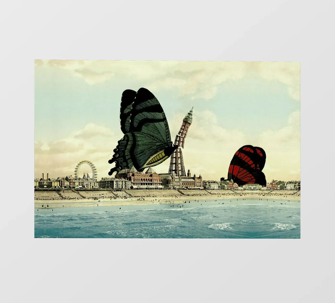 Blackpool pellicola backlit da The Gently Unfurling Sneak