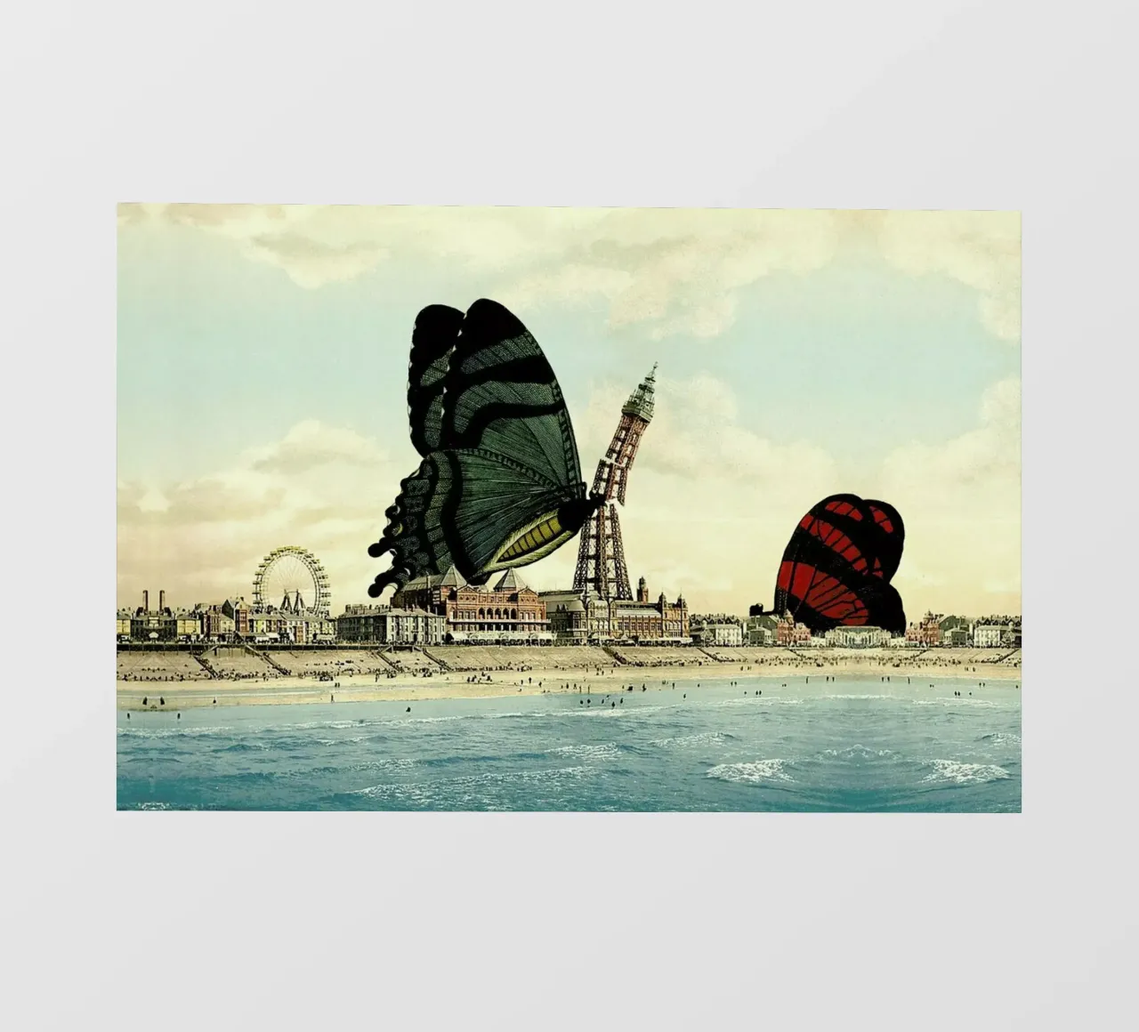 Blackpool pellicola backlit da The Gently Unfurling Sneak