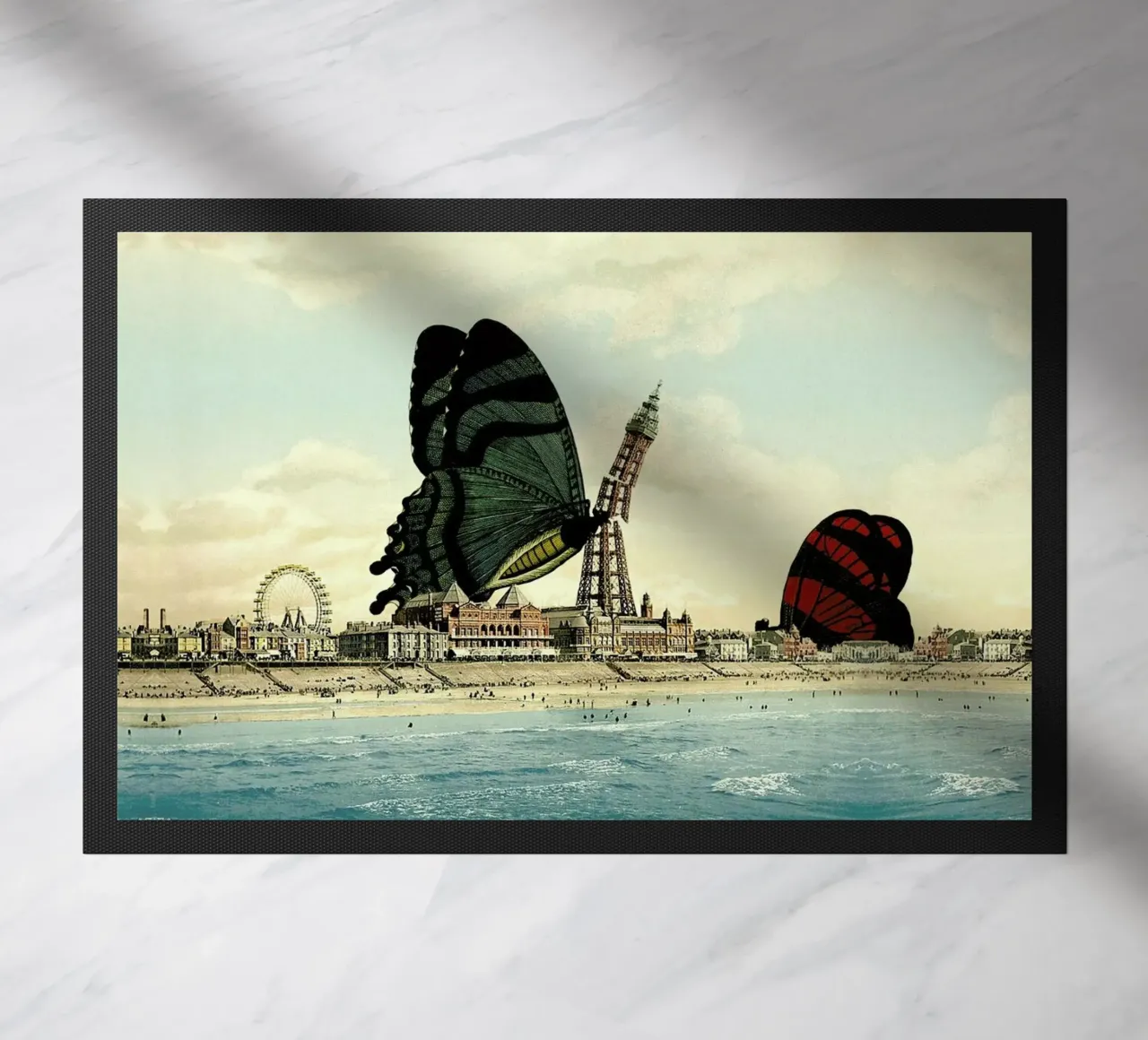 Blackpool zerbino da The Gently Unfurling Sneak