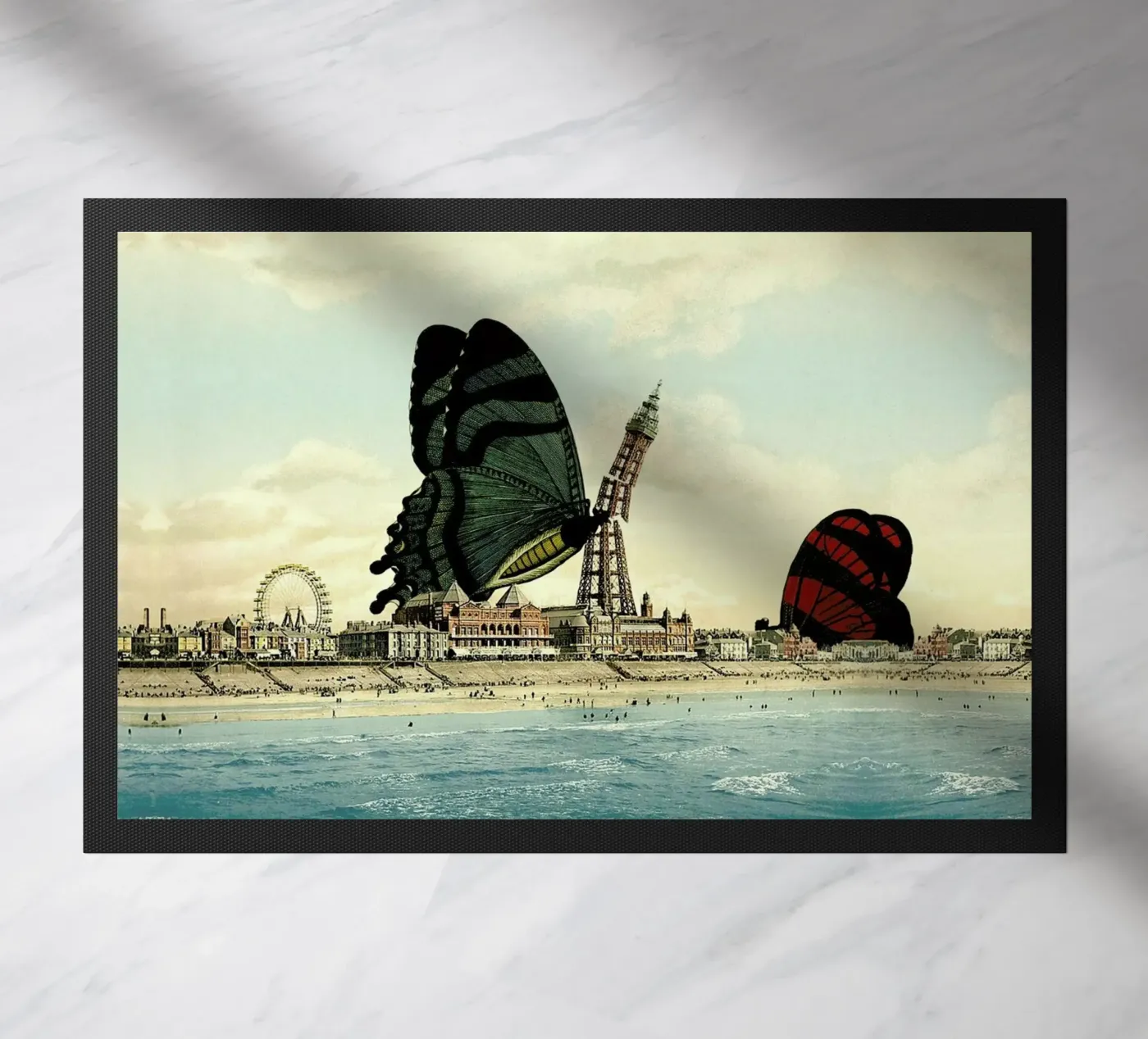 Blackpool zerbino da The Gently Unfurling Sneak