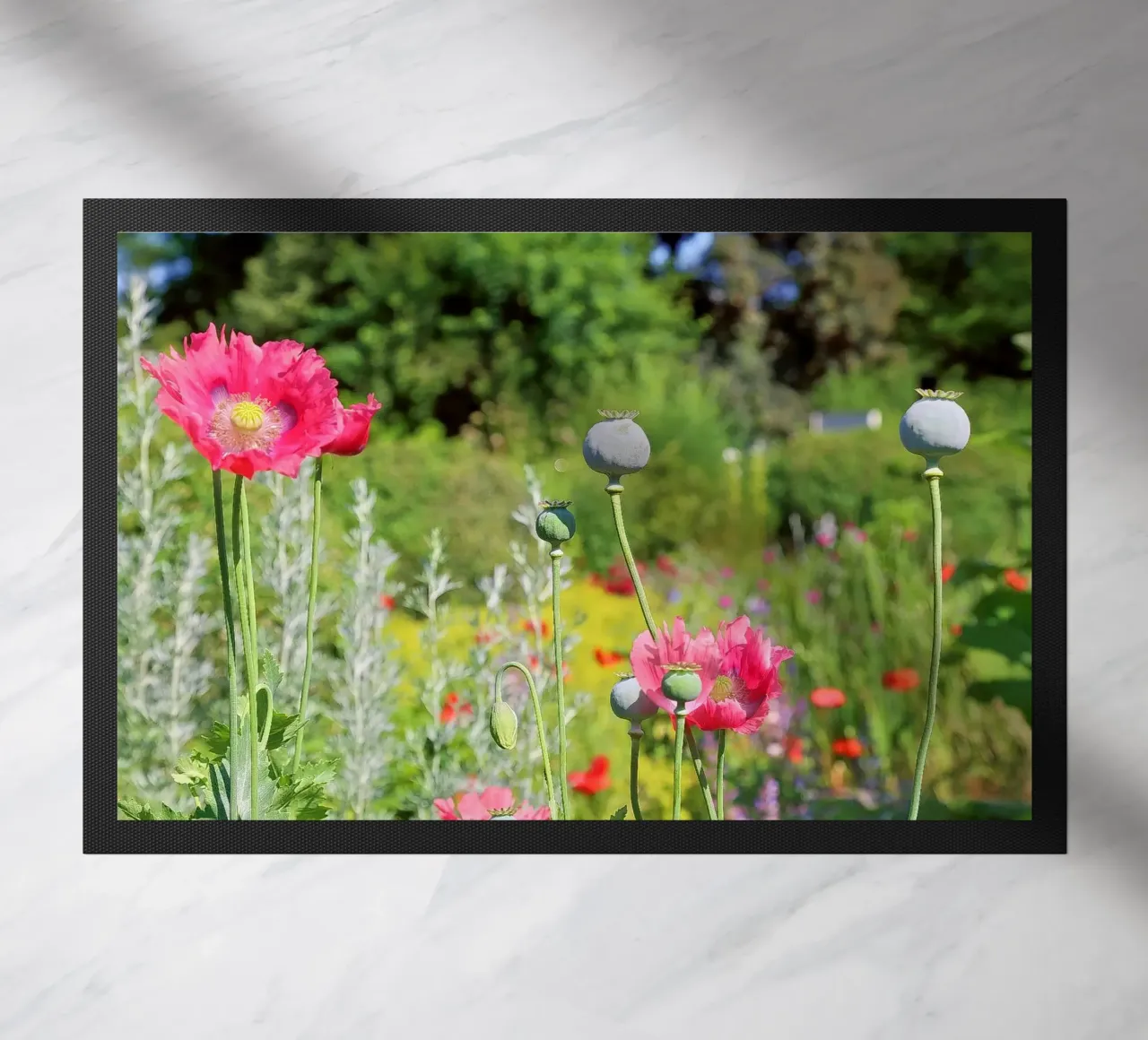 Poppy zerbino da Edenart