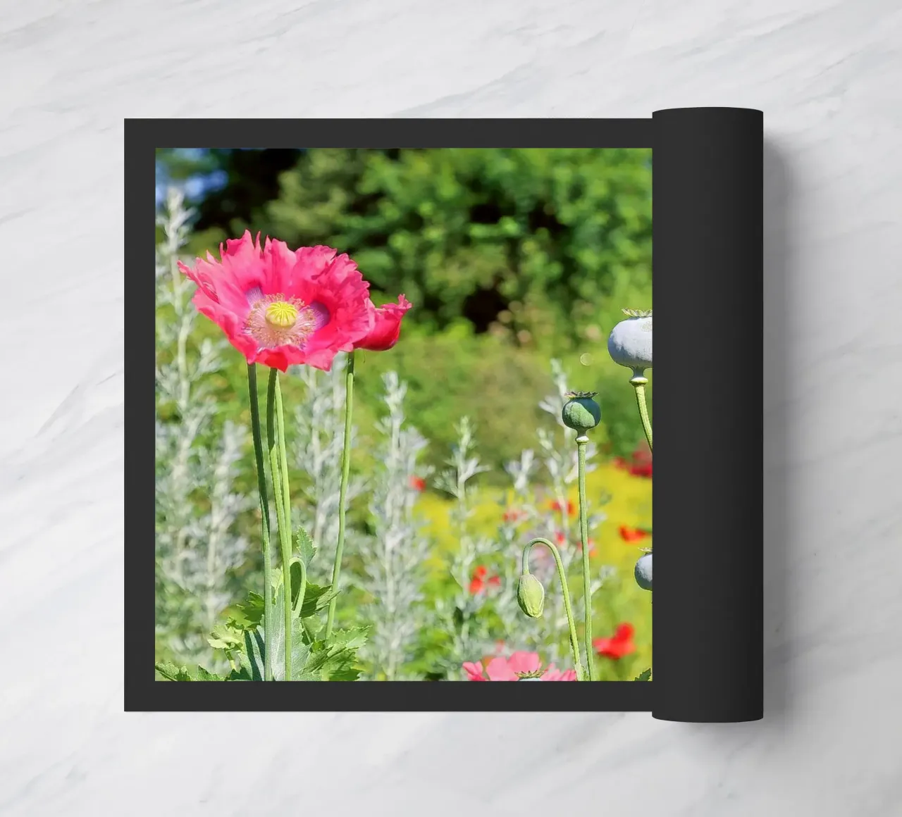 Papavero zerbino da Edenart