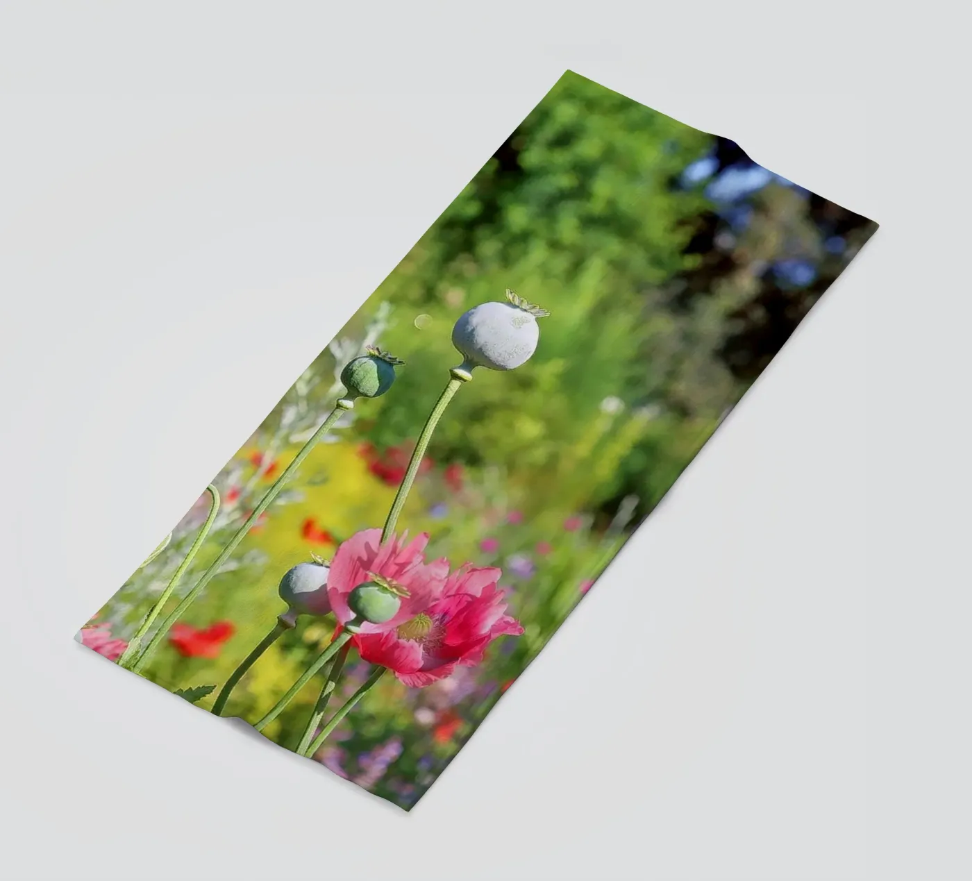 Papavero telo mare da Edenart