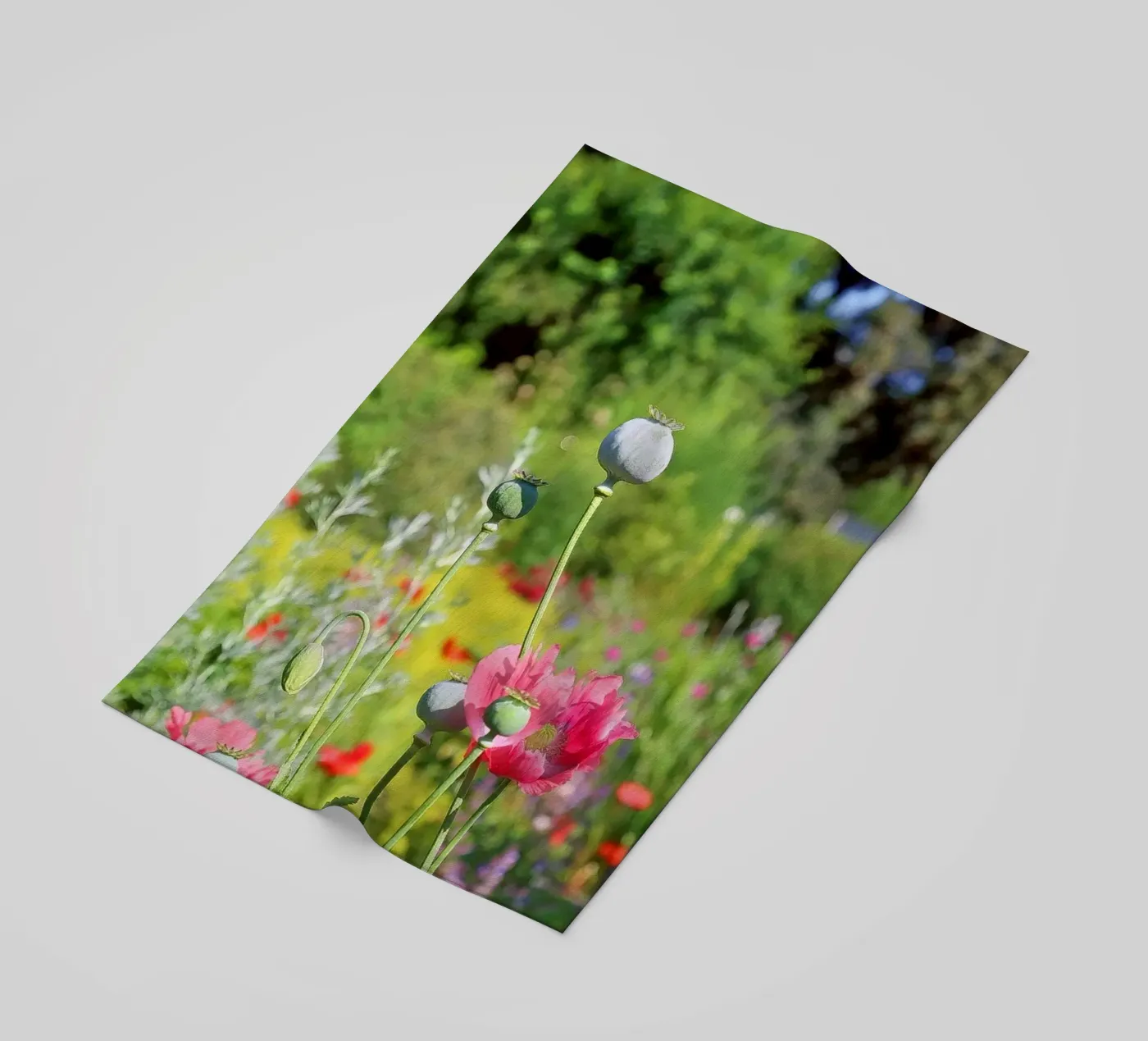 Papavero telo mare da Edenart