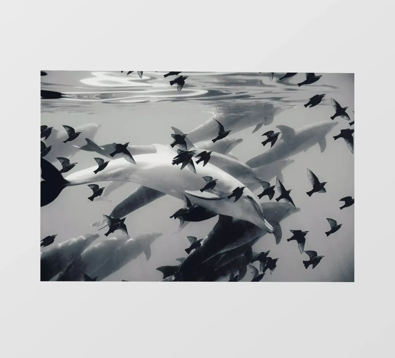 Found Out pellicola backlit da Eugene Soloviev