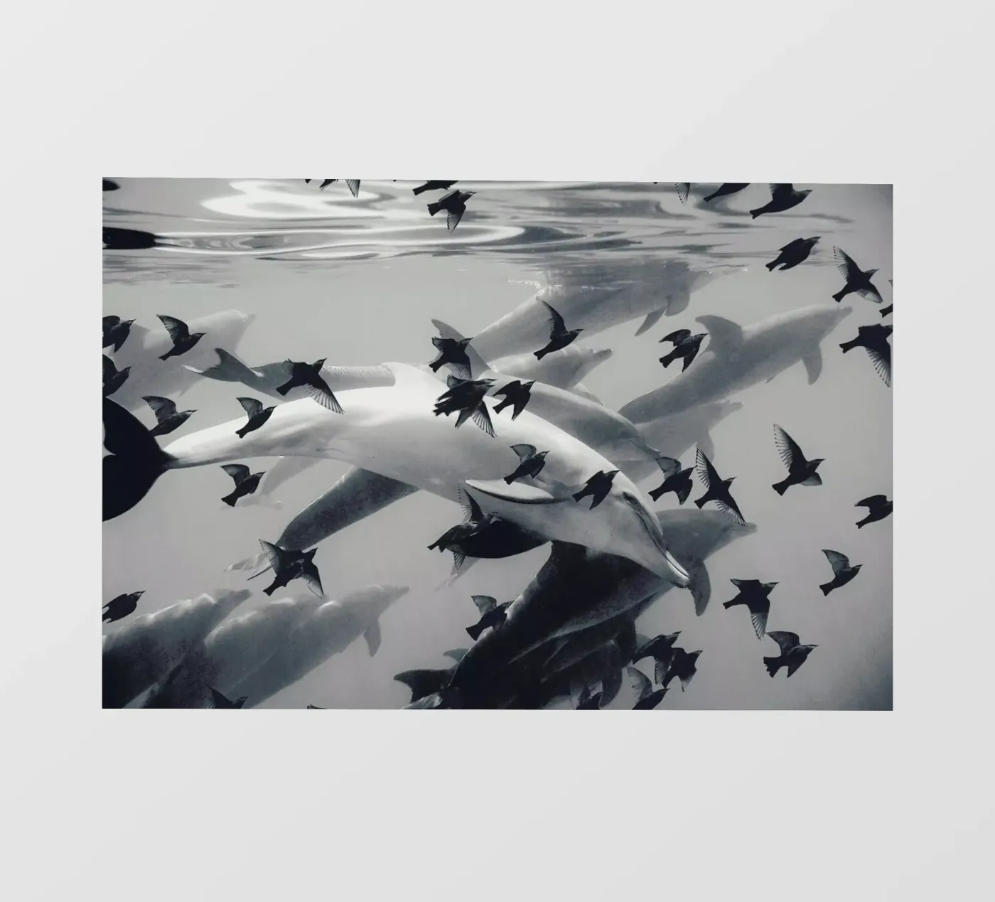 Found Out pellicola backlit da Eugene Soloviev