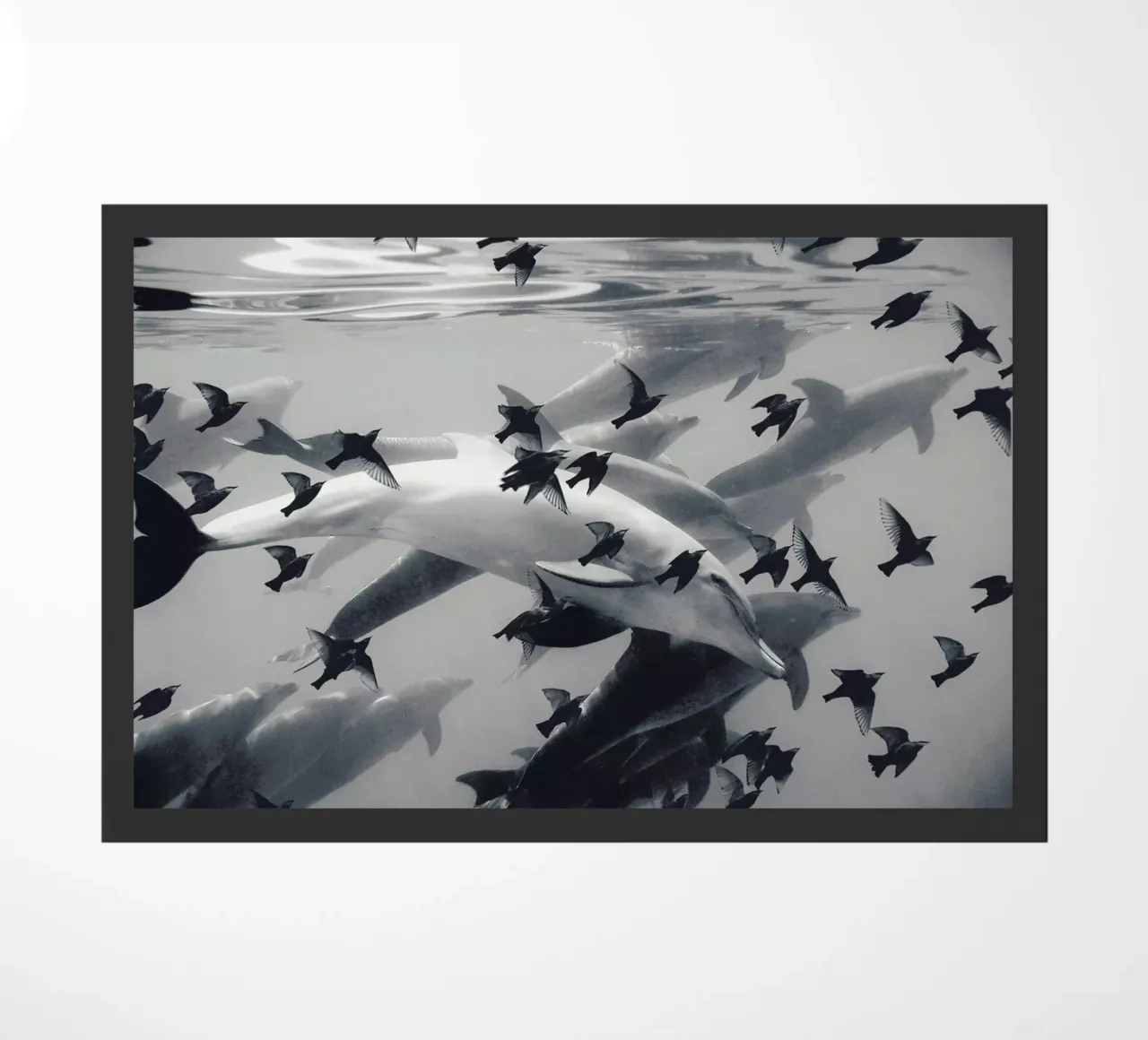 Found Out zerbino da Eugene Soloviev