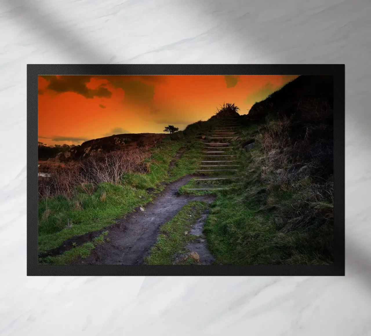 FAA137 zerbino da Thierry vobmann photography