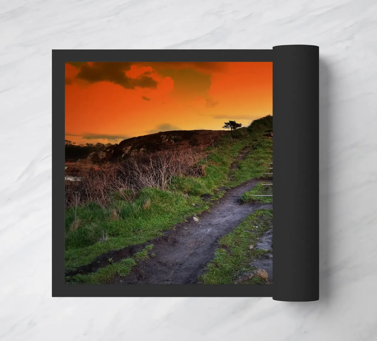 FAA137 zerbino da Thierry vobmann photography