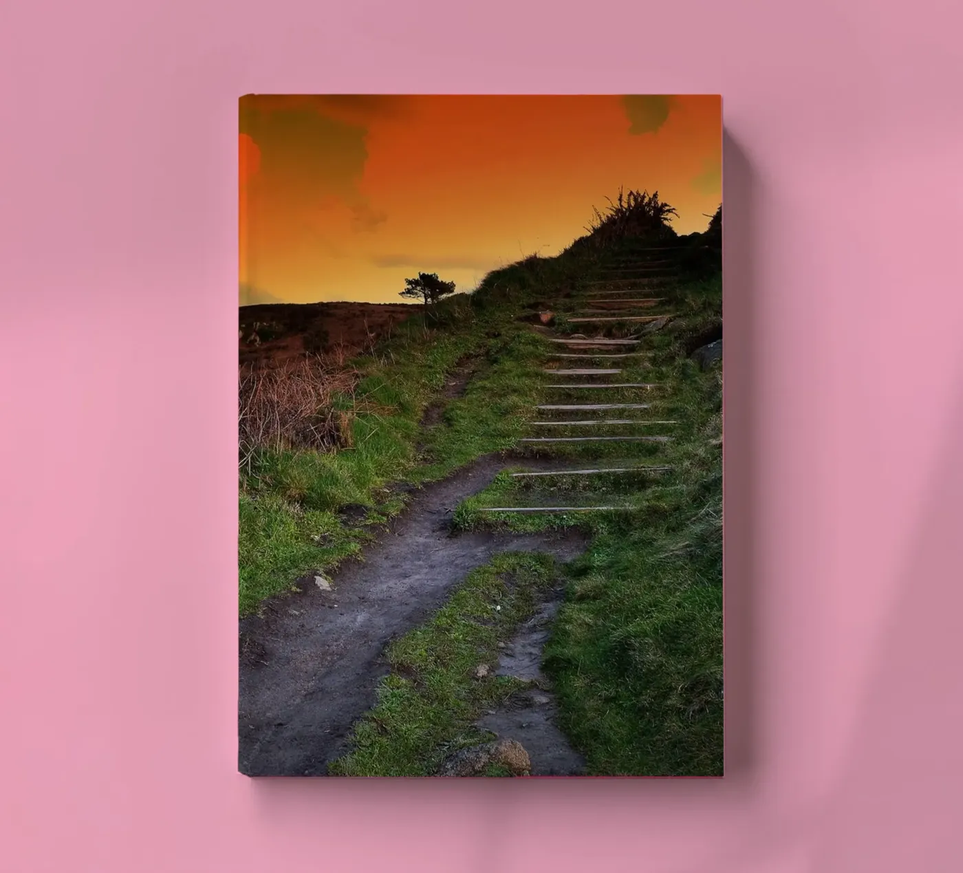 FAA137 notebook by Thierry vobmann photography