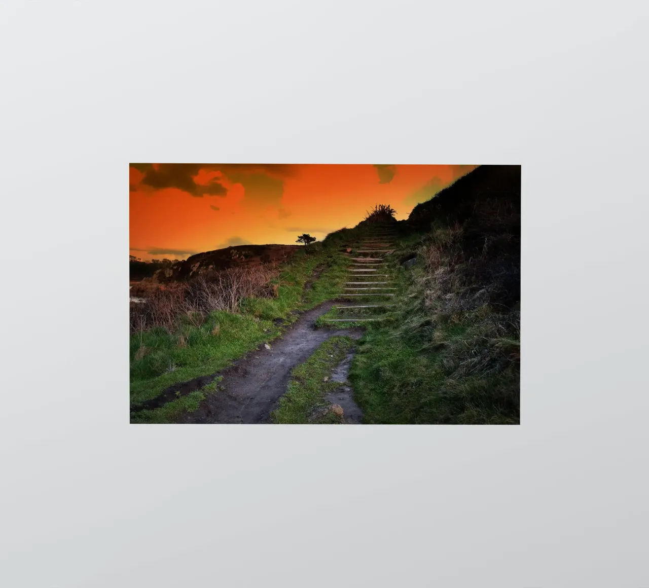 FAA137 sticker by Thierry vobmann photography