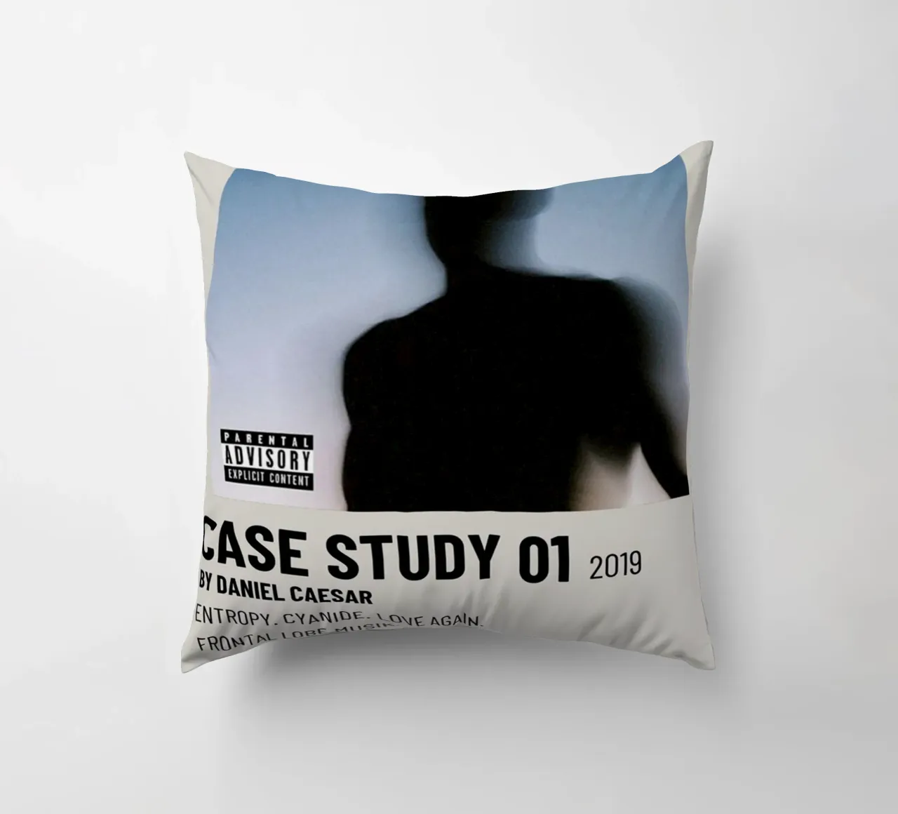 CASE STUDY 01 2019 BY DANIEL CAESAR cuscino da SoundStudio