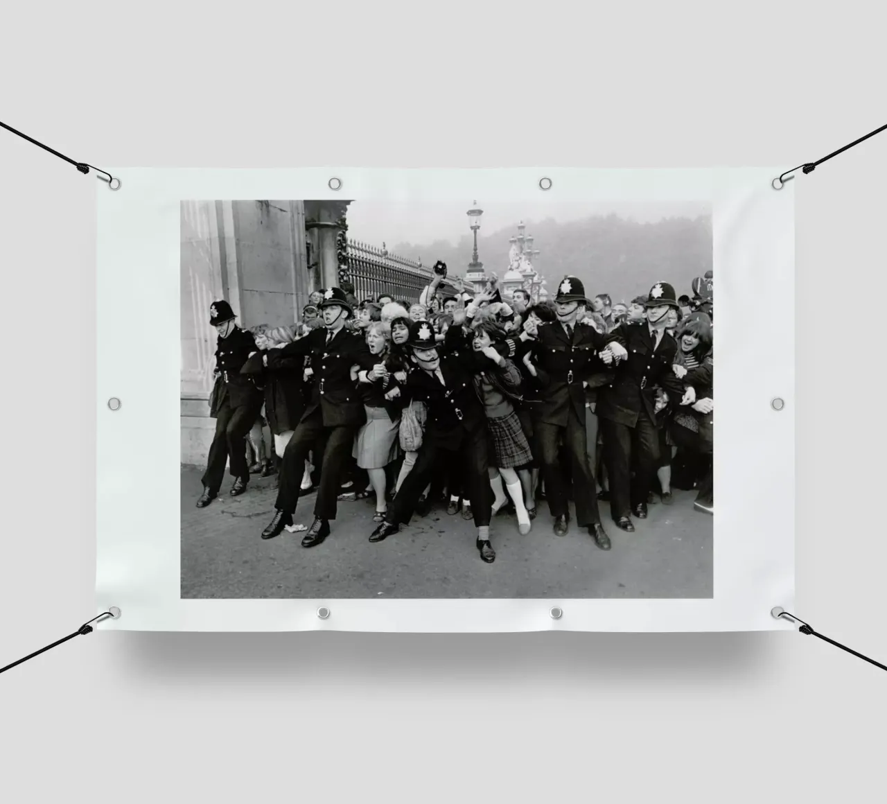 Beatles receiving their MBE's, 1965 telo in pvc da Gallery Print and Art Limited
