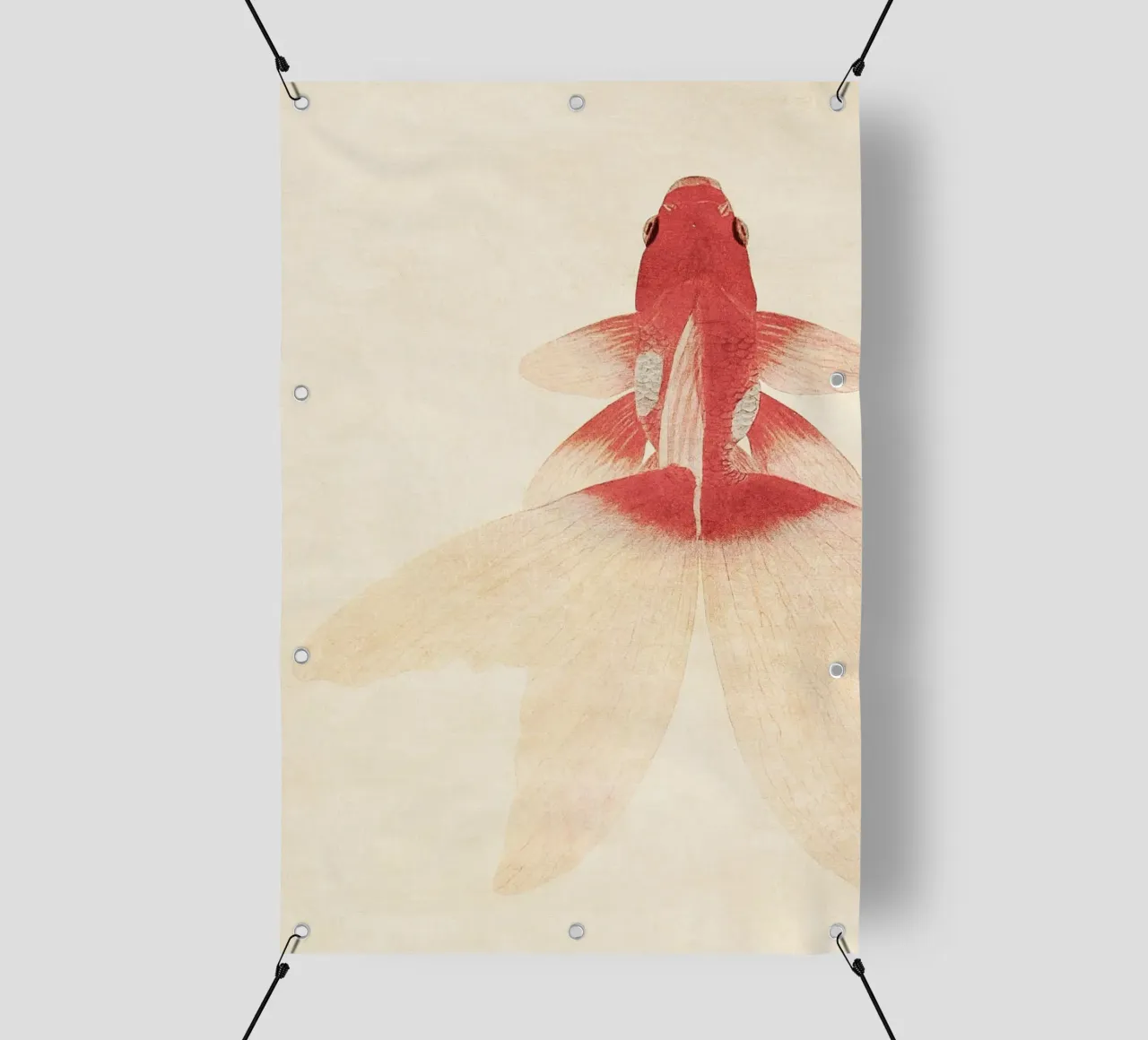 Goldfish telo in pvc da apoloprints