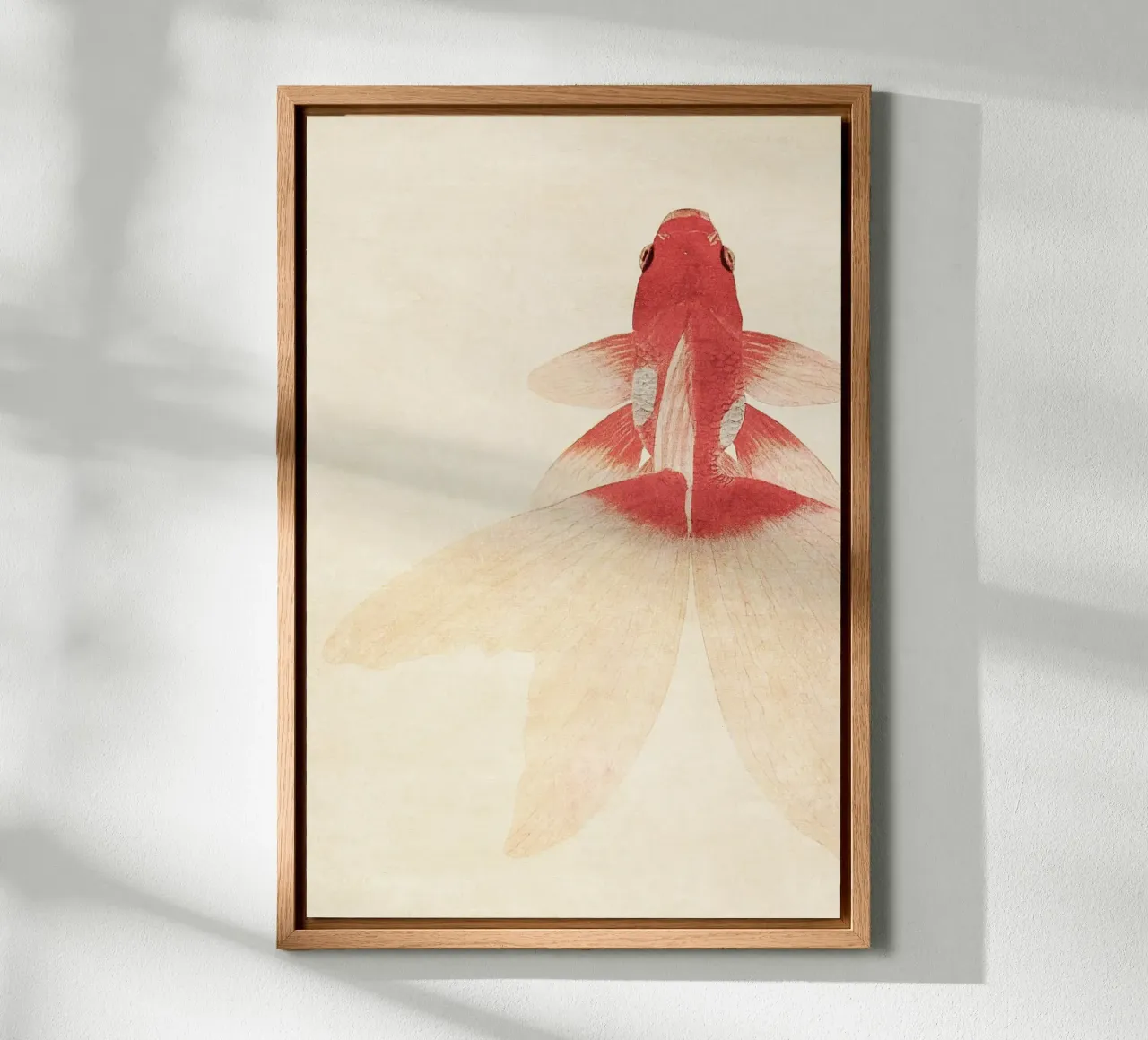 Goldfish alluminio dibond da apoloprints