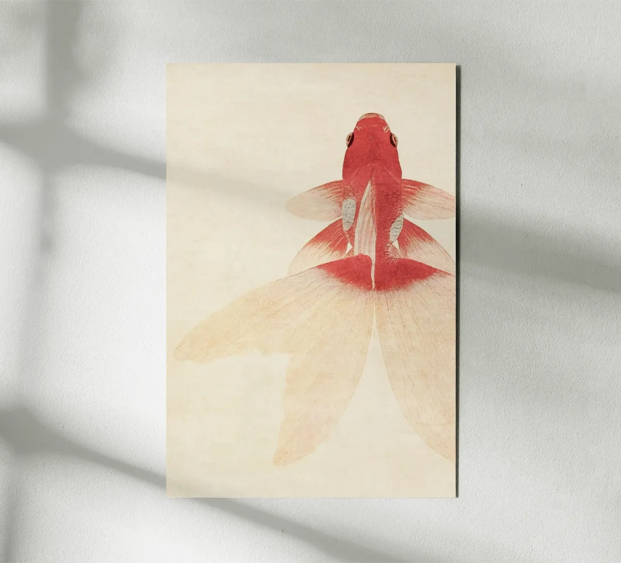 Goldfish alluminio dibond da apoloprints