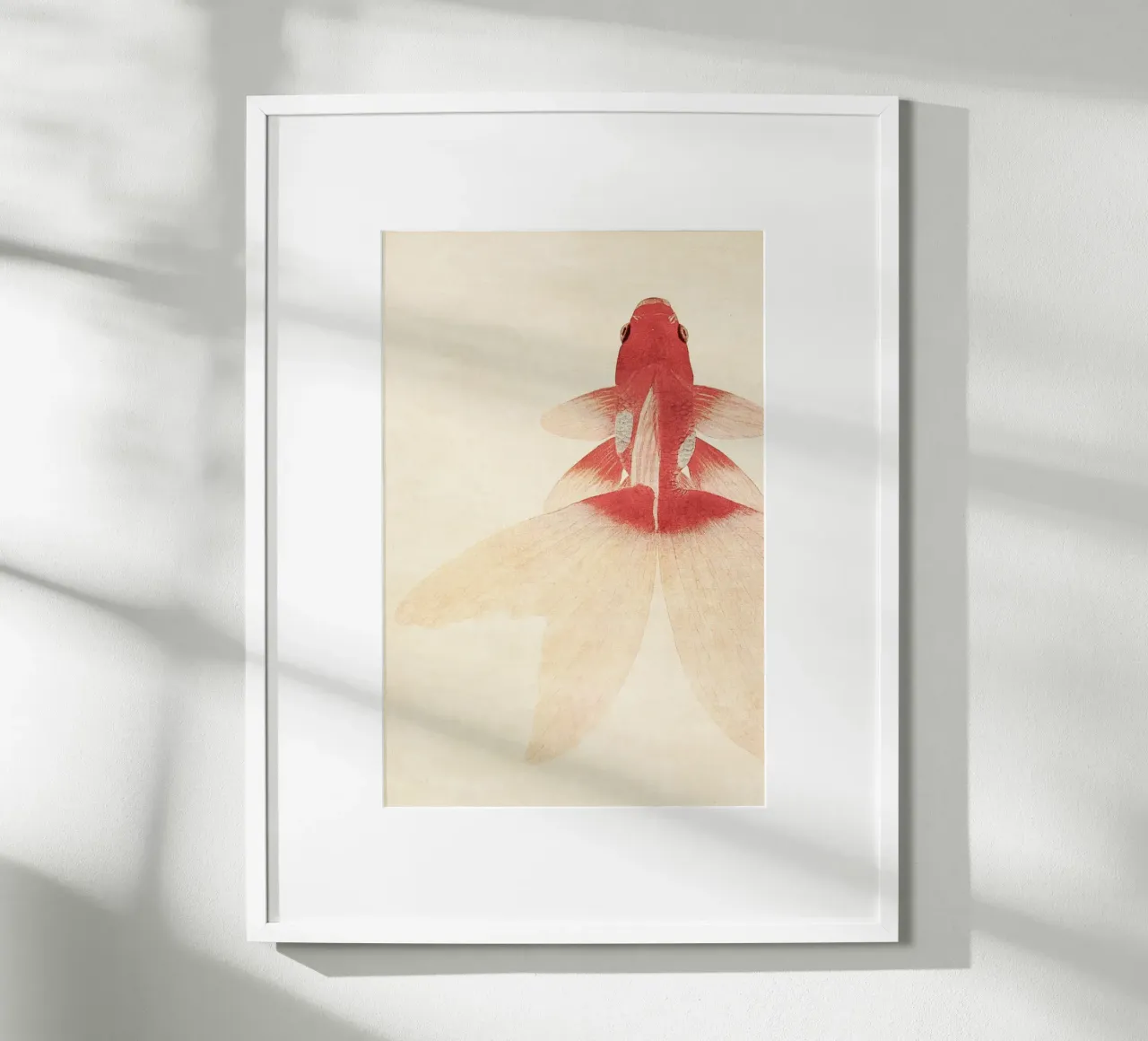 Goldfish carta hahnemühle da apoloprints