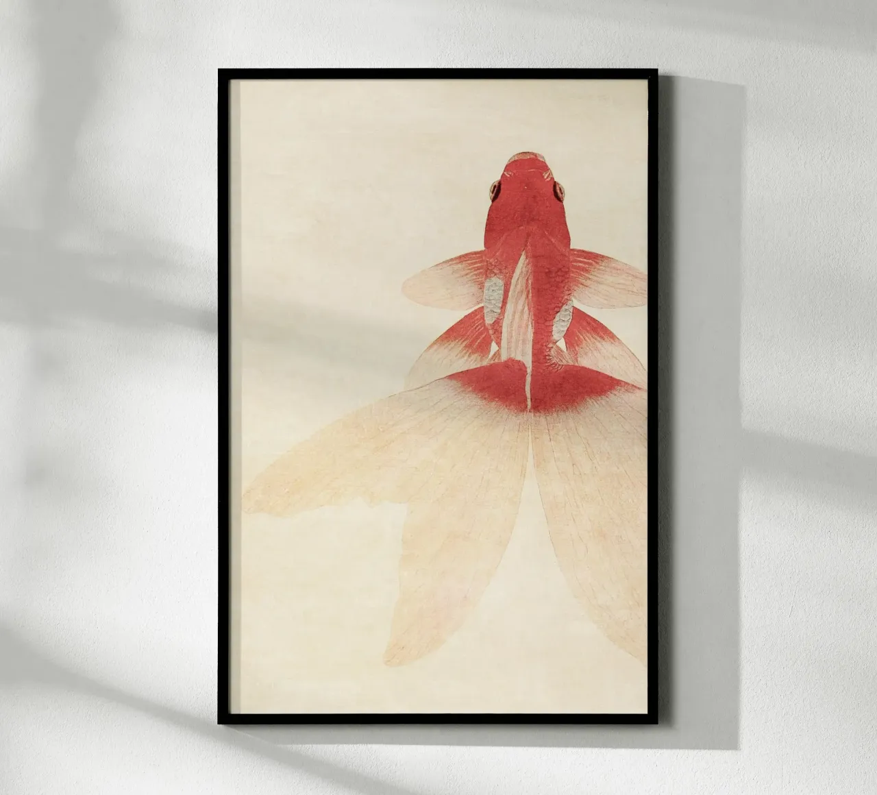 Goldfish carta hahnemühle da apoloprints