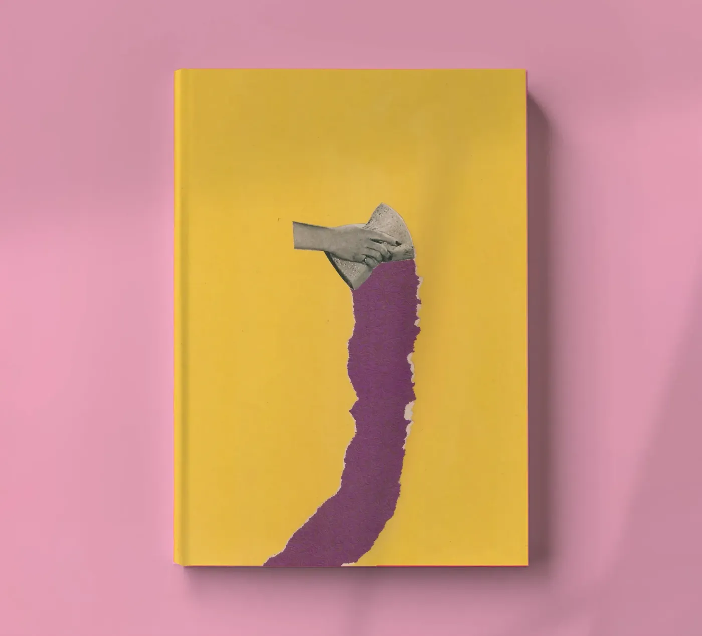 Sponge Torn notebook by Carlos Quitério