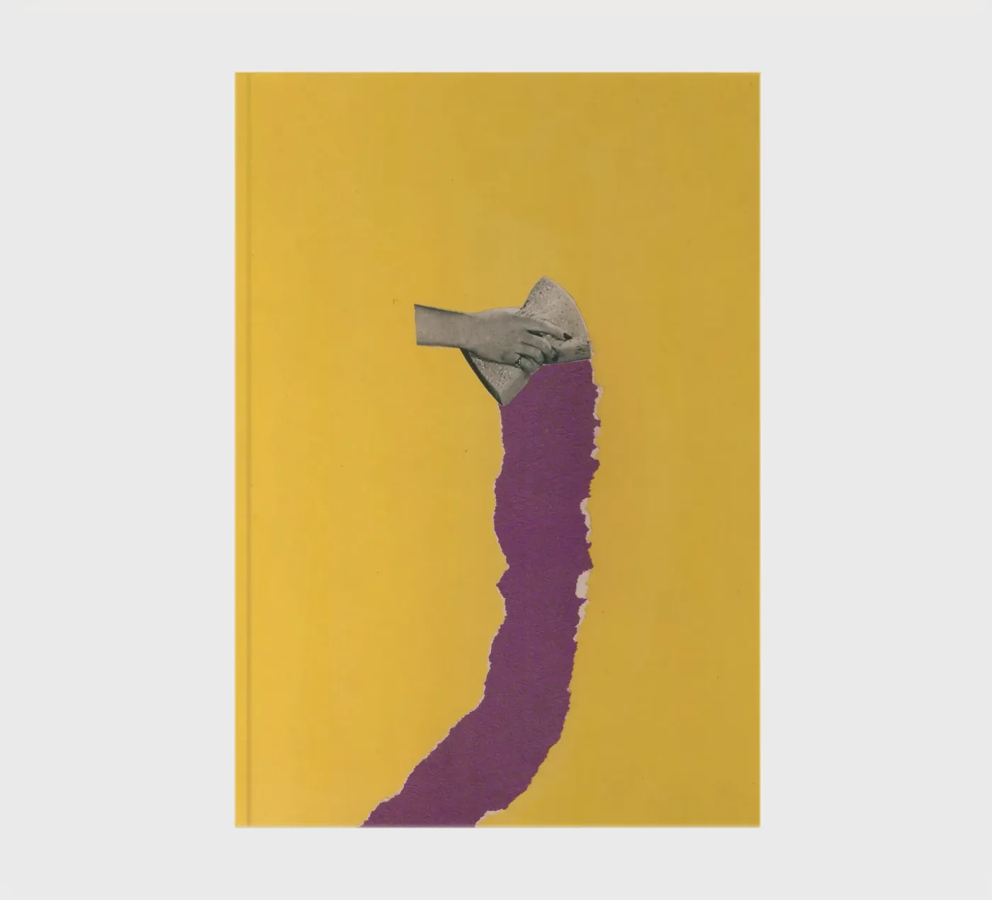 Sponge Torn carnet de notes de Carlos Quitério