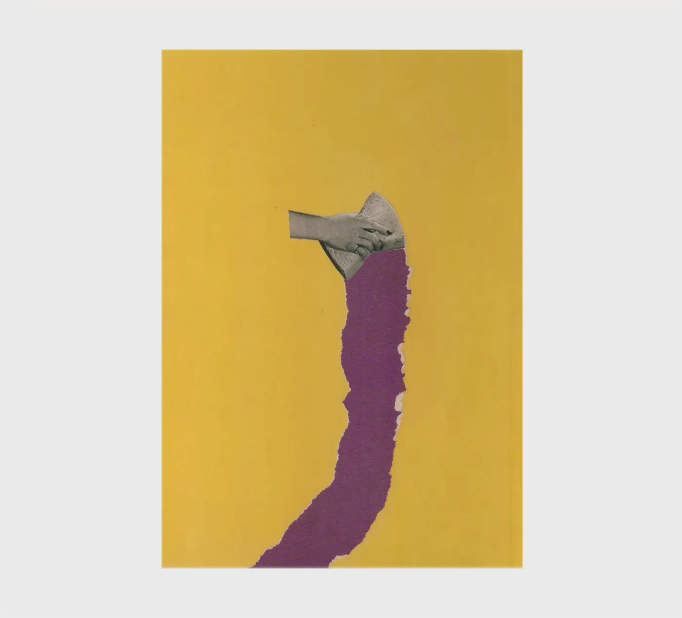 Sponge Torn carnet de notes de Carlos Quitério