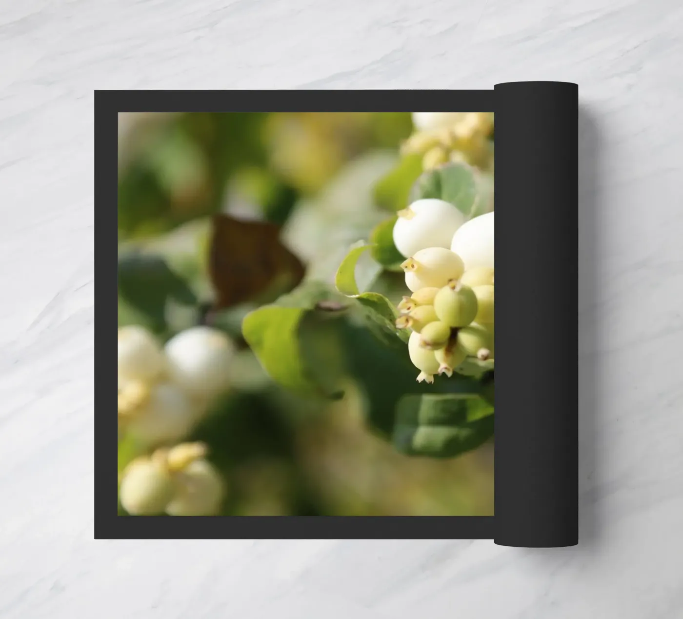 Il bucaneve zerbino da Alexandra Joseph Fotomomente