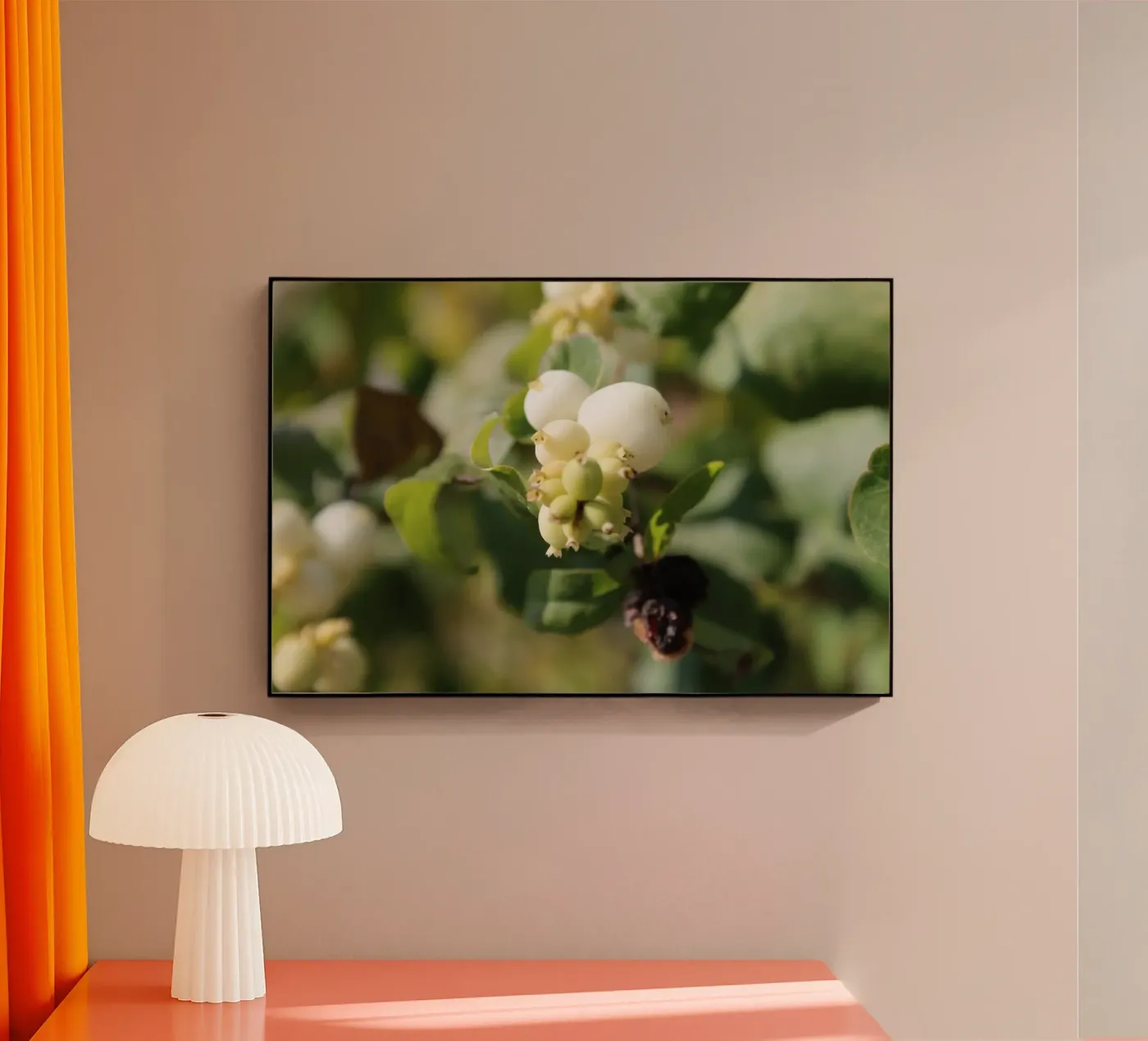 La perce-neige plexiglas de Alexandra Joseph Fotomomente