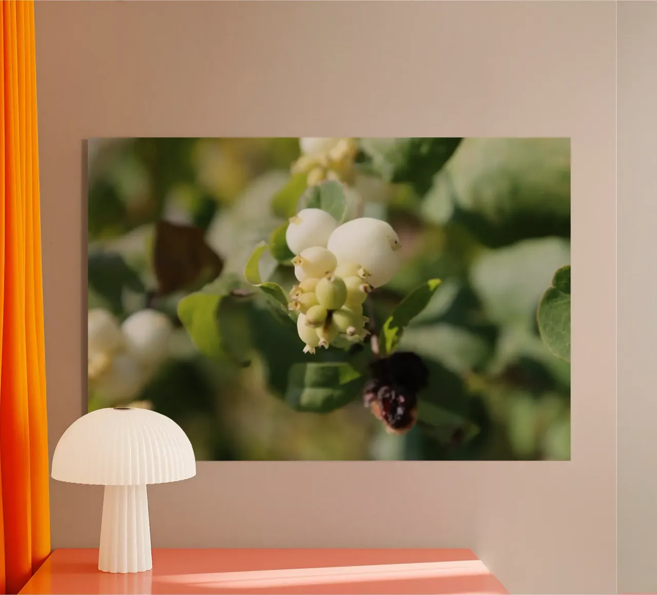 Il bucaneve plexiglass da Alexandra Joseph Fotomomente