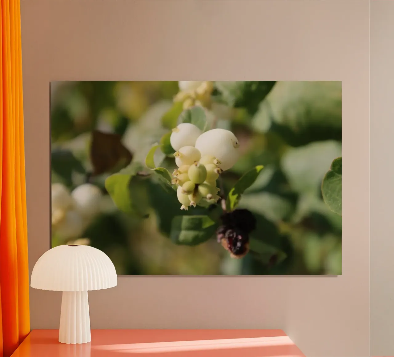 Il bucaneve poster con telaio in legno da Alexandra Joseph Fotomomente