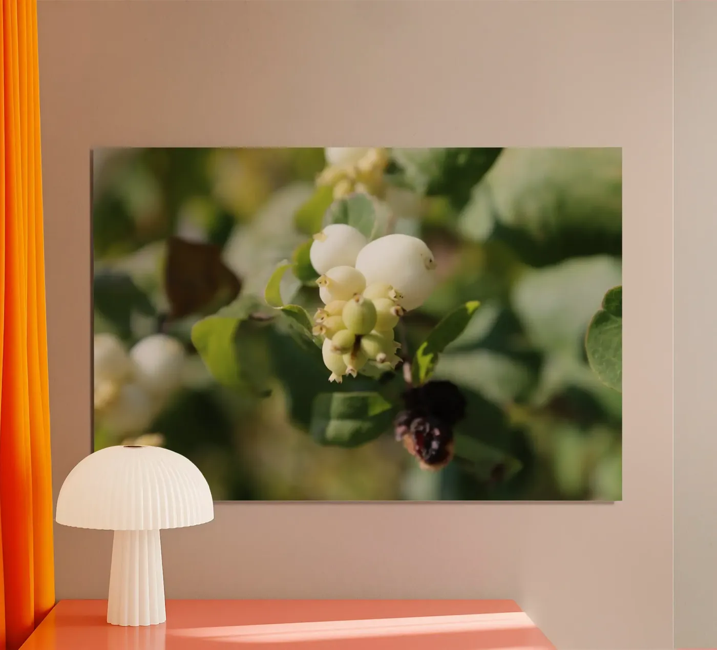 Il bucaneve poster da Alexandra Joseph Fotomomente