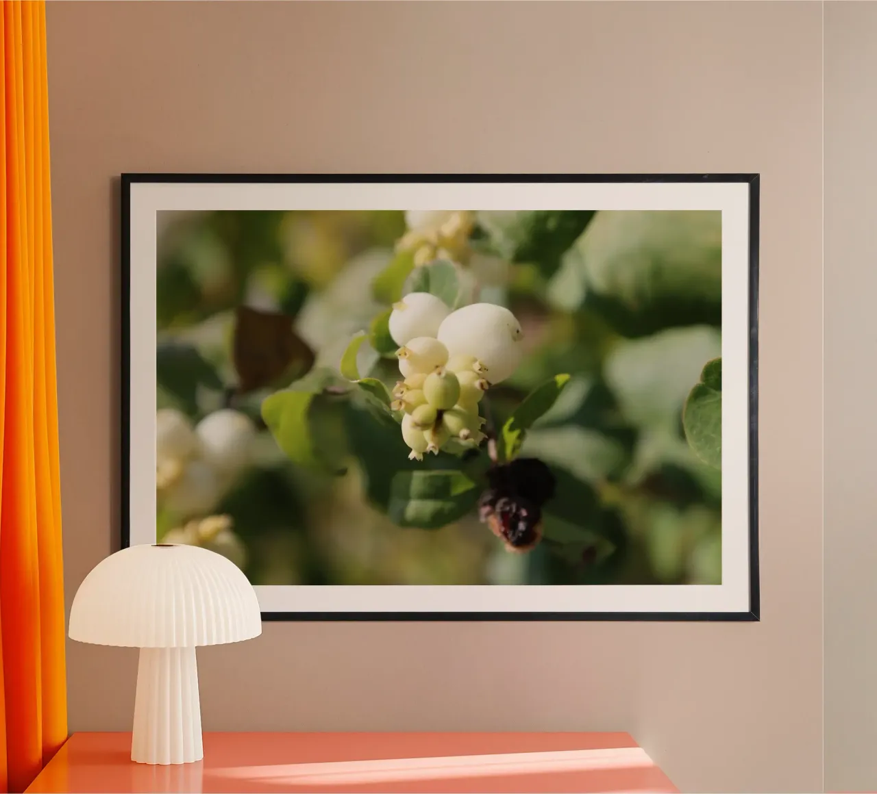 Il bucaneve poster con telaio in legno da Alexandra Joseph Fotomomente