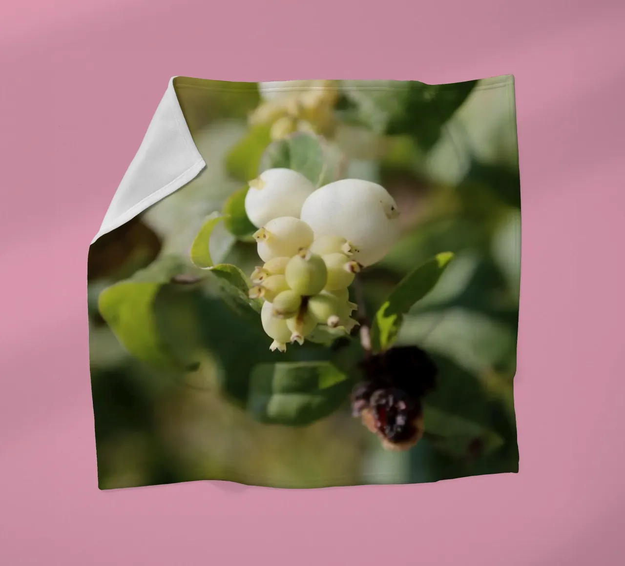 Il bucaneve coperta in pile da Alexandra Joseph Fotomomente