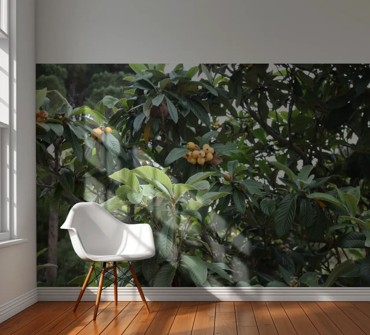 Mediterranean plants photo wallpaper by Alexandra Joseph Fotomomente