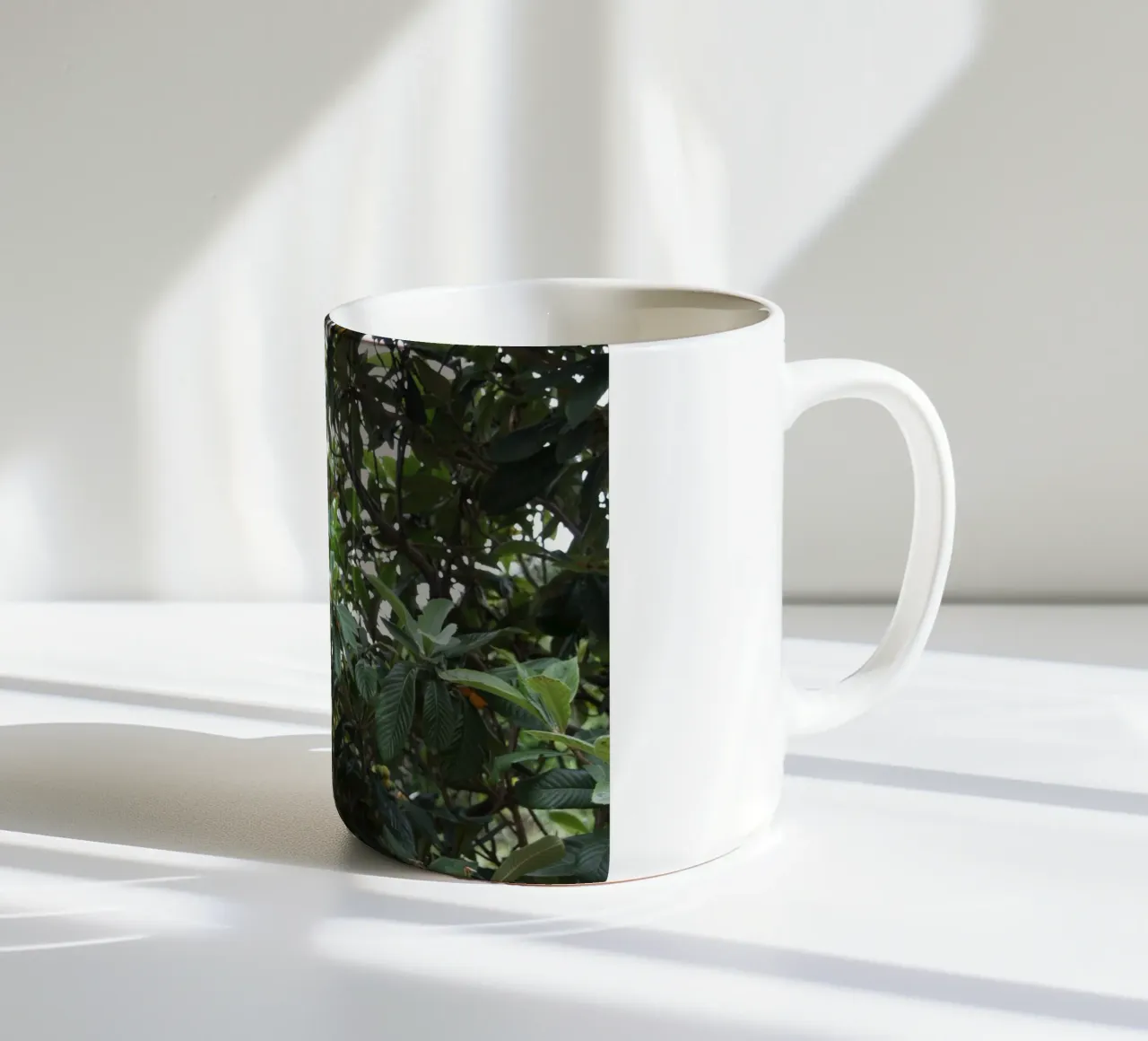 Piante mediterranee tazza in ceramica da Alexandra Joseph Fotomomente