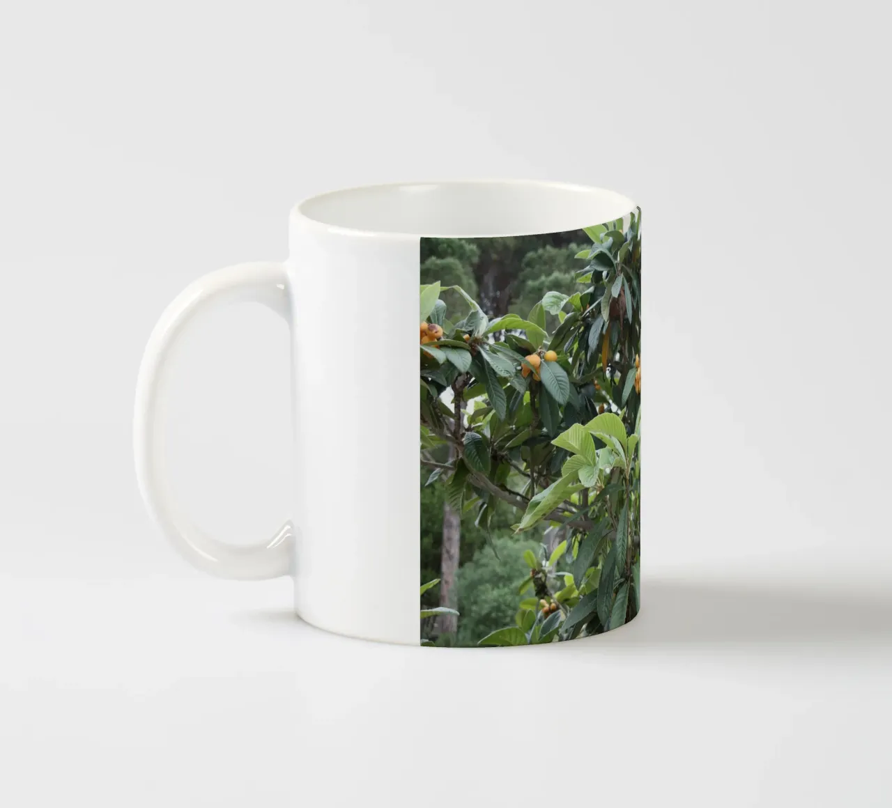 Piante mediterranee tazza in ceramica da Alexandra Joseph Fotomomente