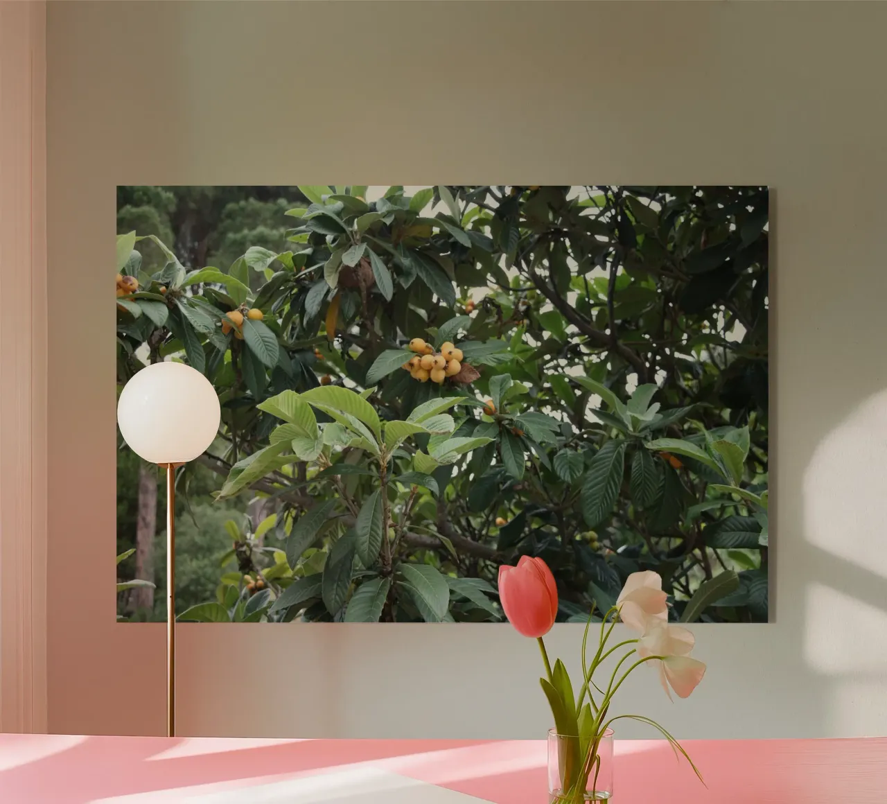 Piante mediterranee plexiglass da Alexandra Joseph Fotomomente