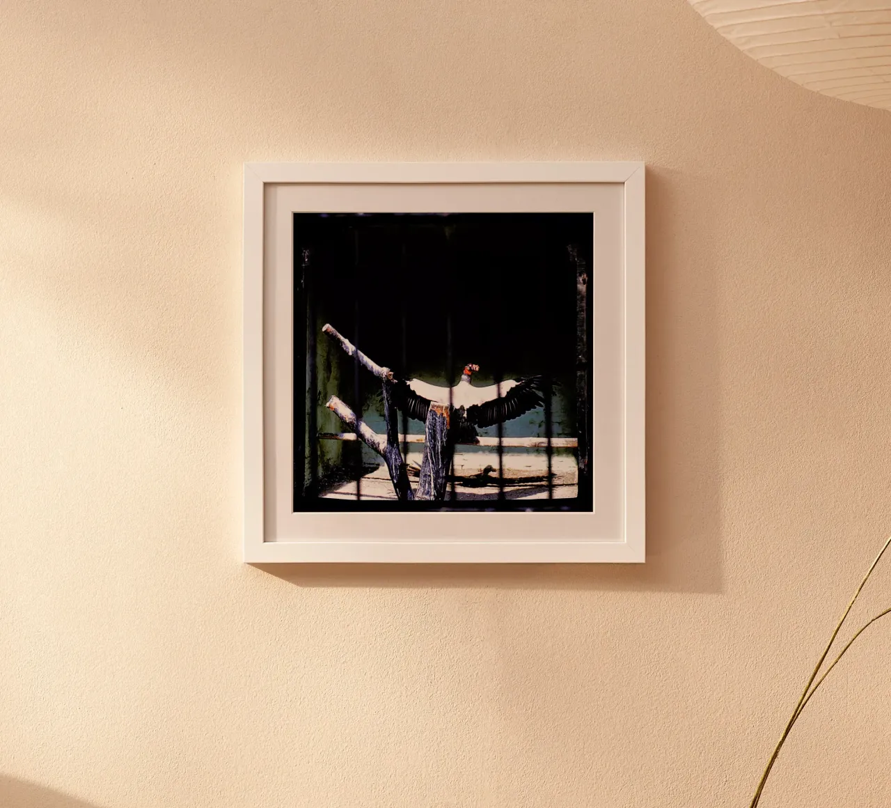 Bird in cage poster con telaio in alluminio da Sophie Etchart