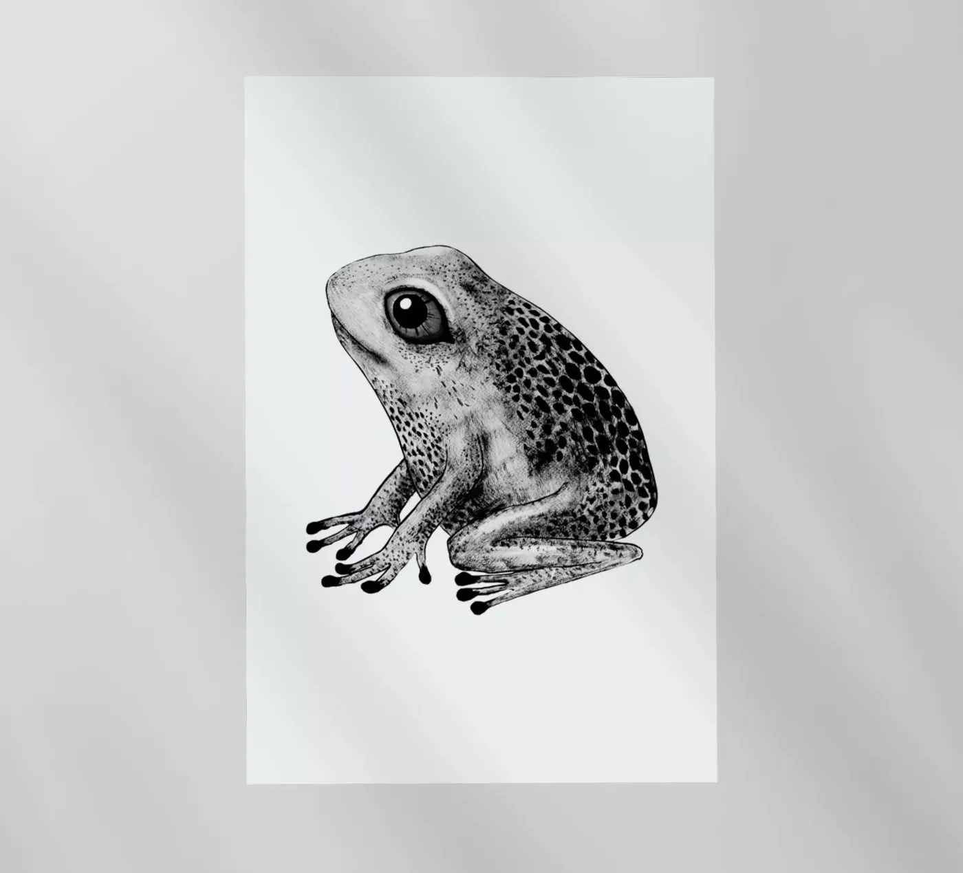 Frog pellicola backlit da Tvinkla