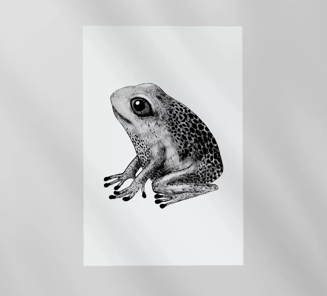 Frog pellicola backlit da Tvinkla