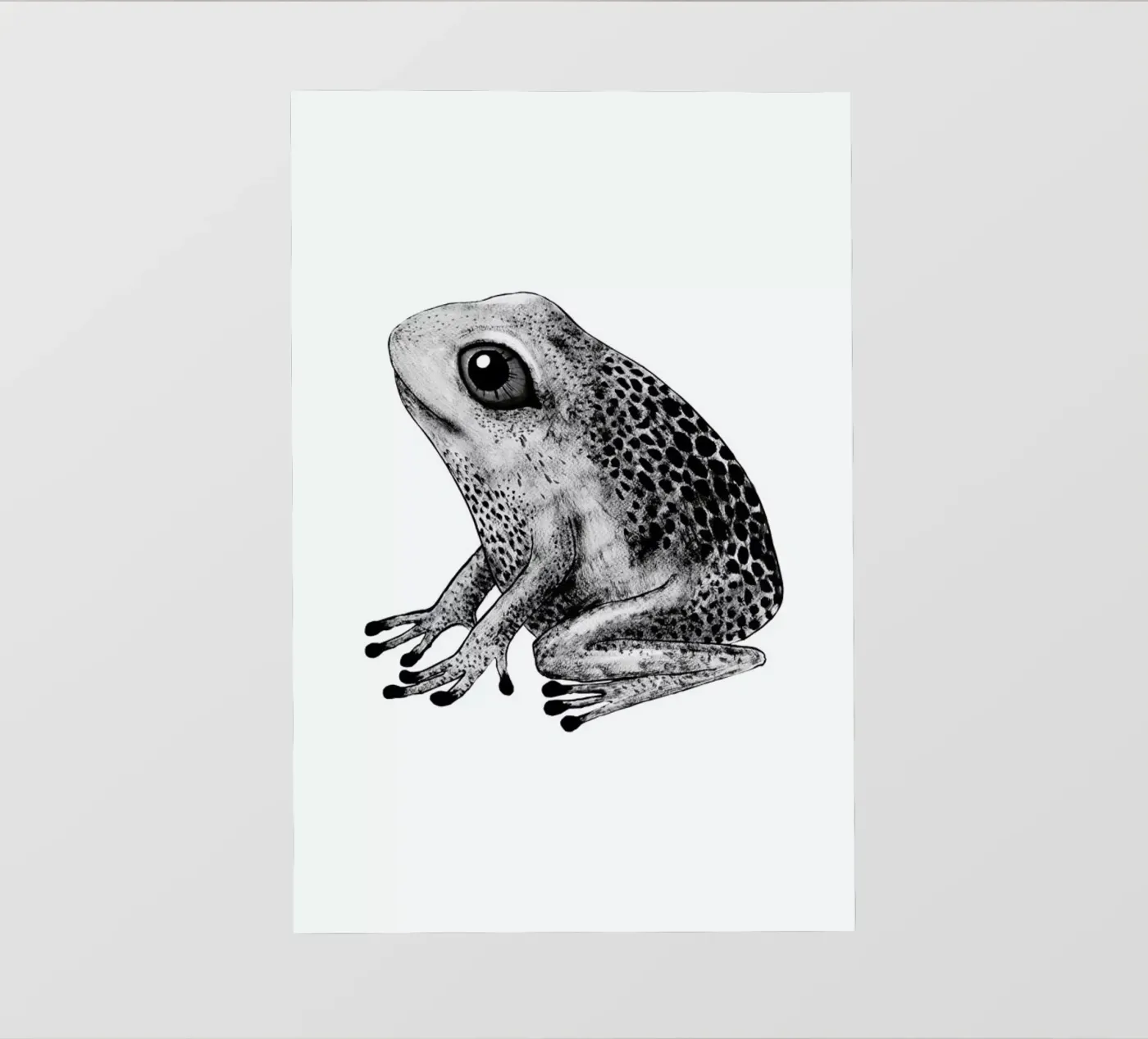 Frog pellicola backlit da Tvinkla