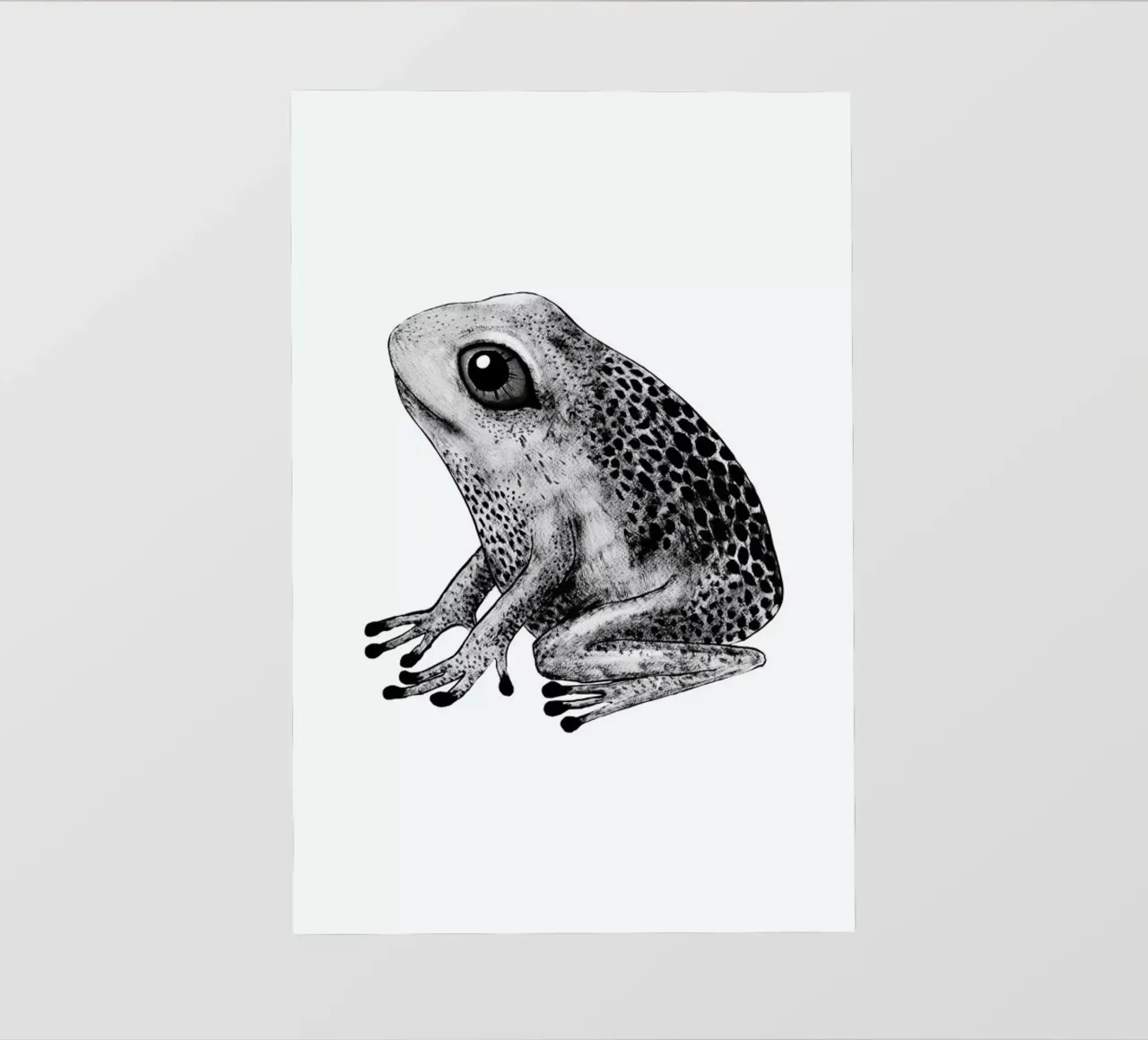 Frog telo in pvc da Tvinkla
